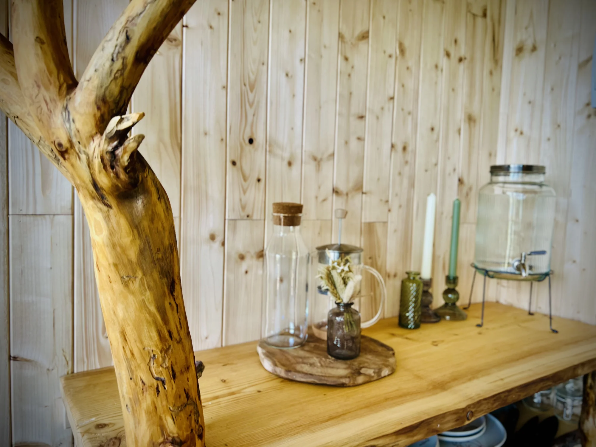 Vybavený treehouse na úpatí Krušných hor: terasa, houpací křesla i gril