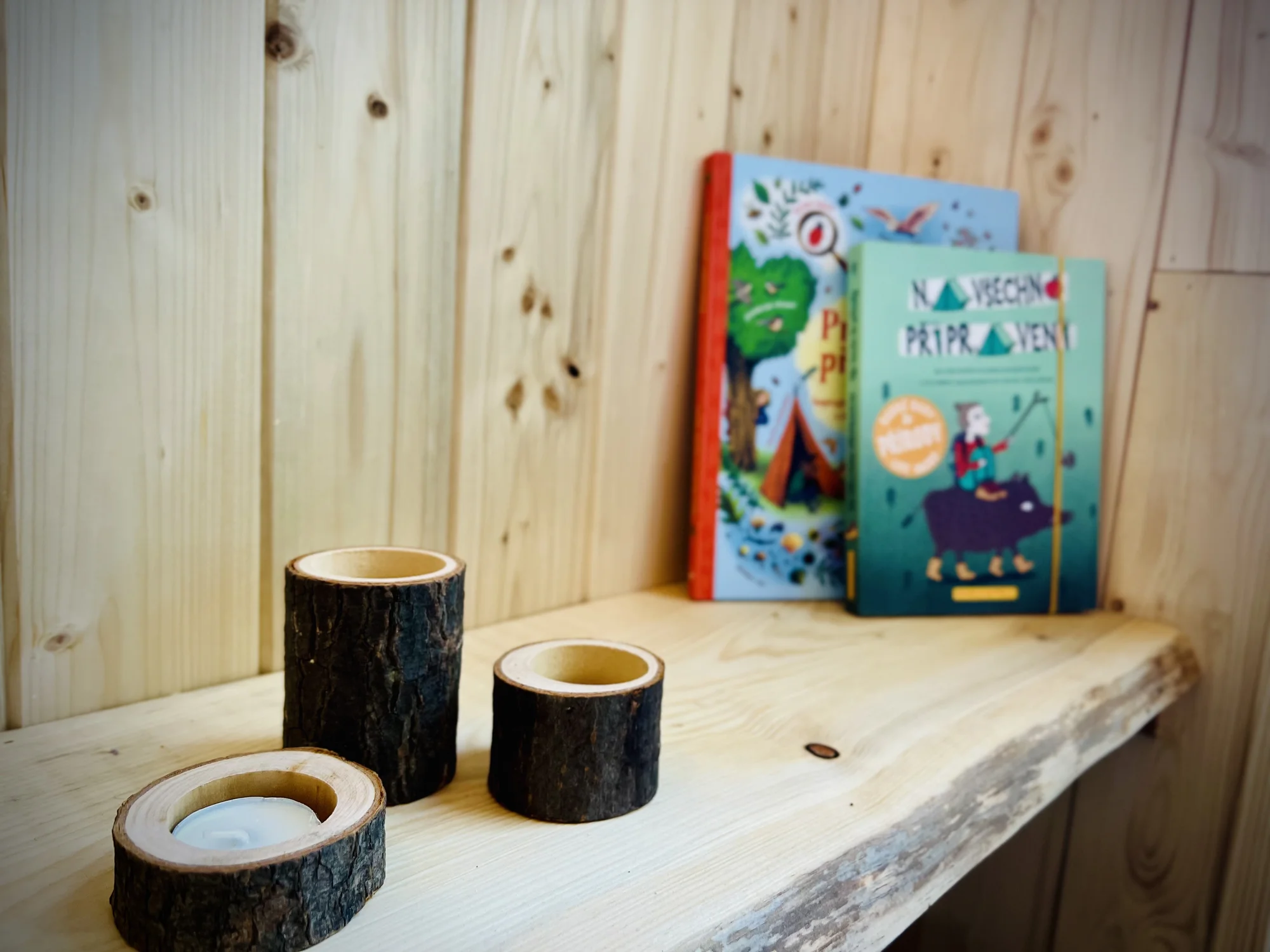 Vybavený treehouse na úpatí Krušných hor: terasa, houpací křesla i gril