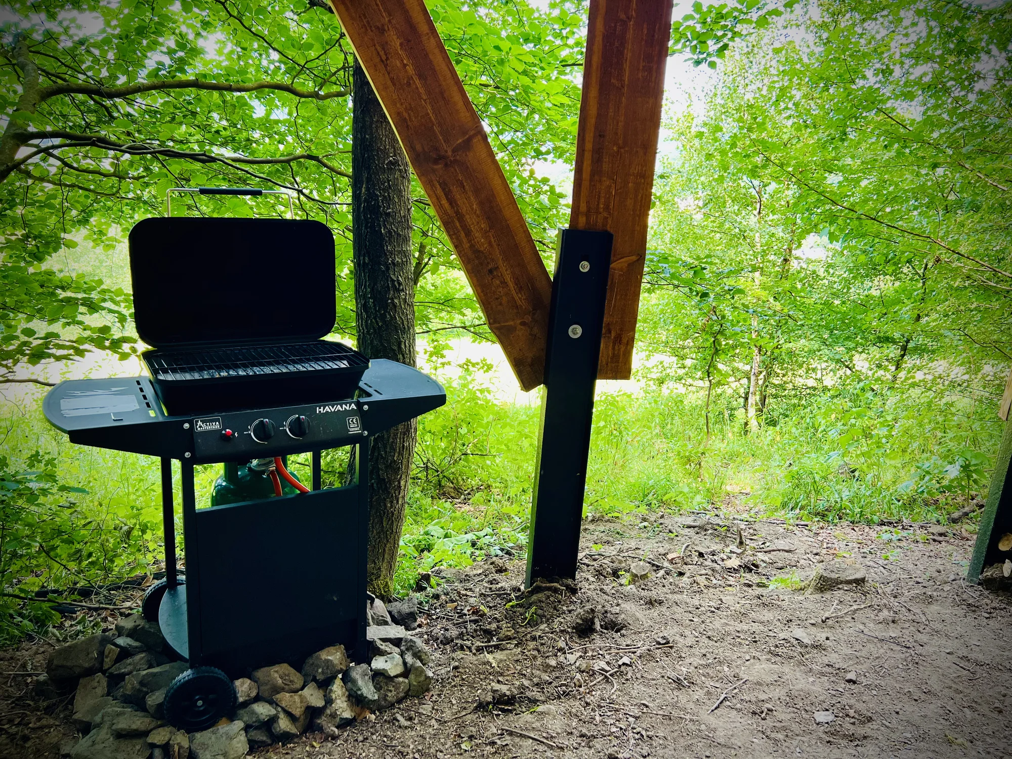 Vybavený treehouse na úpatí Krušných hor: terasa, houpací křesla i gril