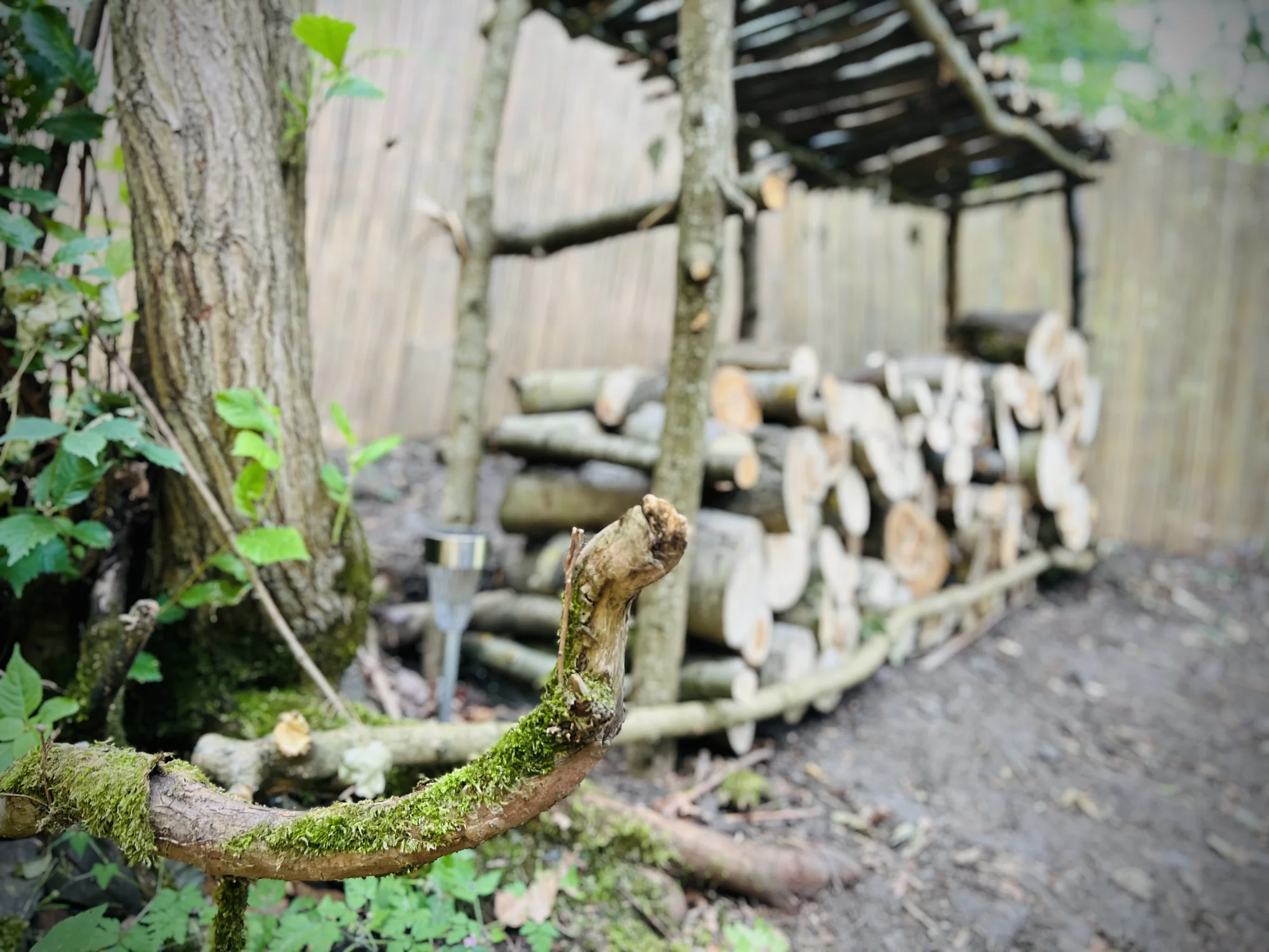 Vybavený treehouse na úpatí Krušných hor: terasa, houpací křesla i gril