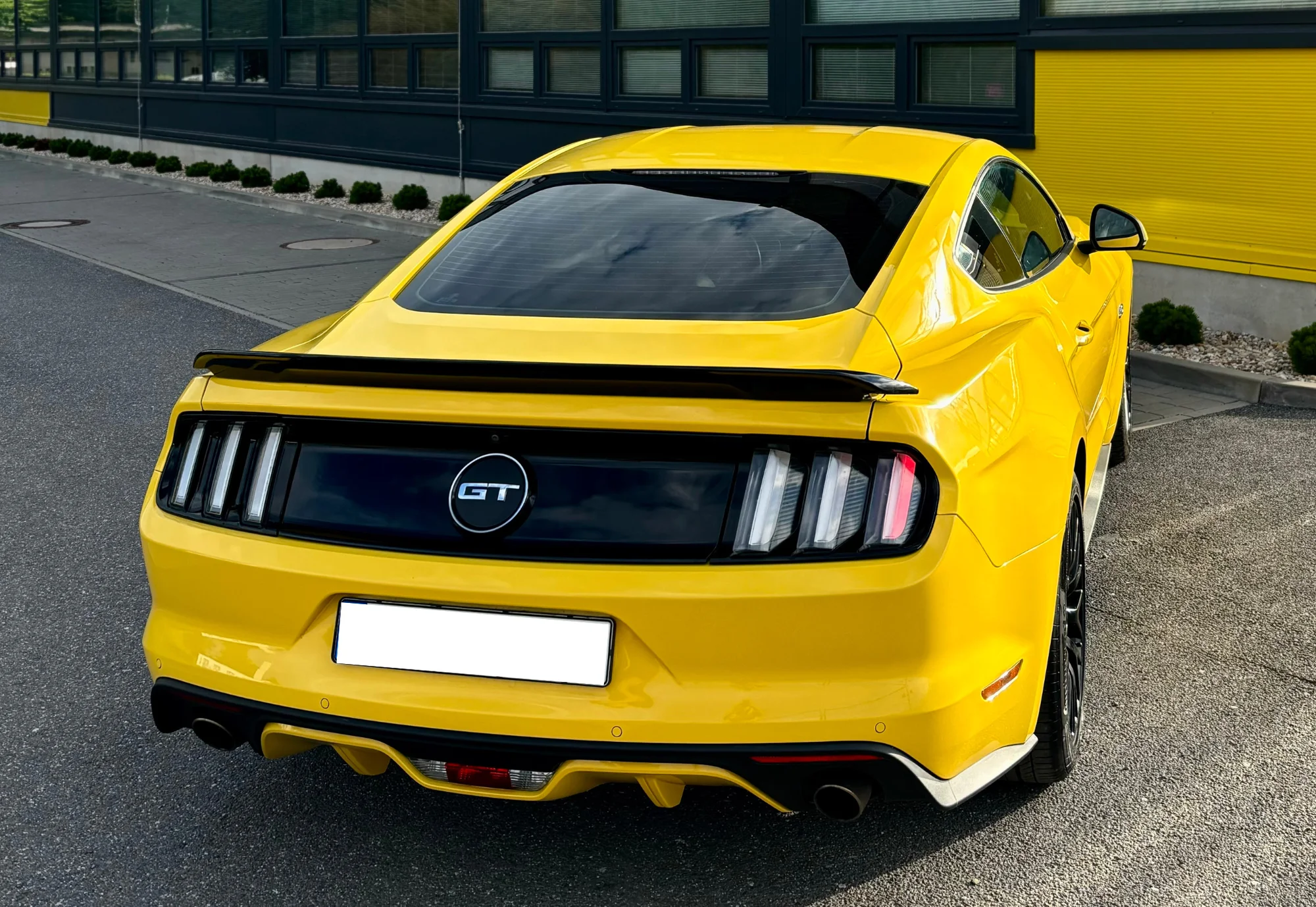 Ford Mustang 5.0 GT: 20 min. spolujízdy, 30 min. řízení nebo zapůjčení až na 24 hod.