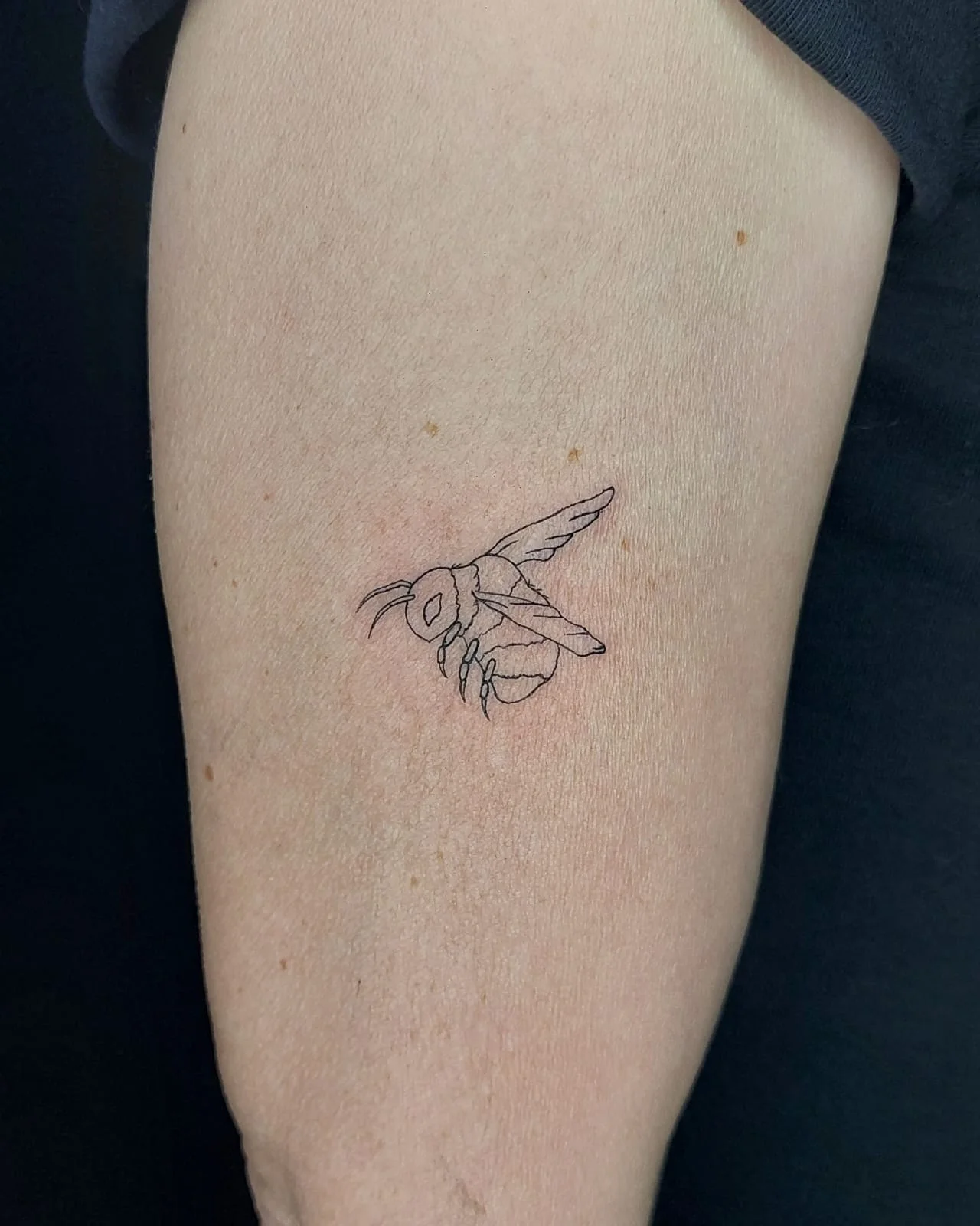 Tetování v centru Prahy: handpoke kérky do 10x10 cm, tetování strojkem do 15x15 cm