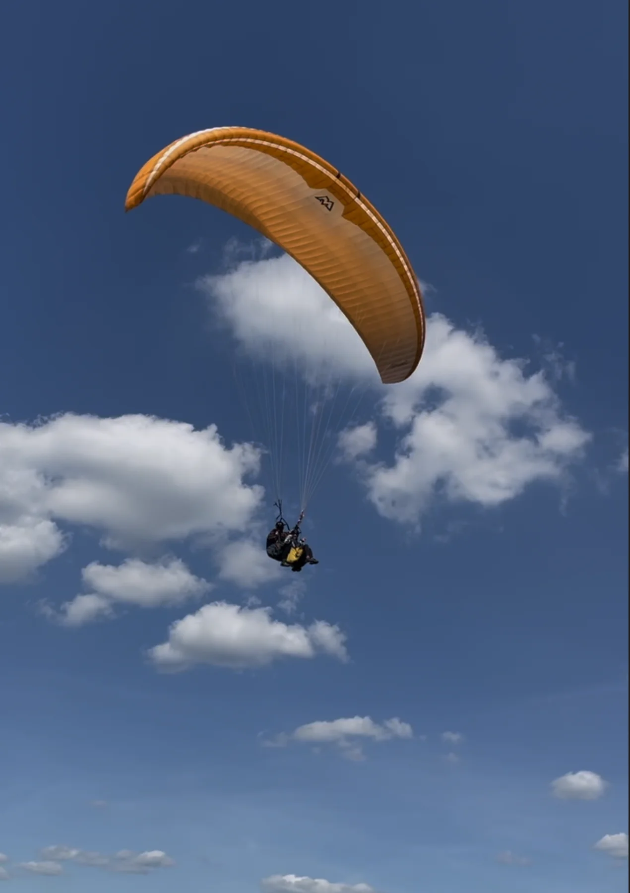 Paraglidingové lety na Javorovém vrchu: vyhlídkový, termický či akrobatický