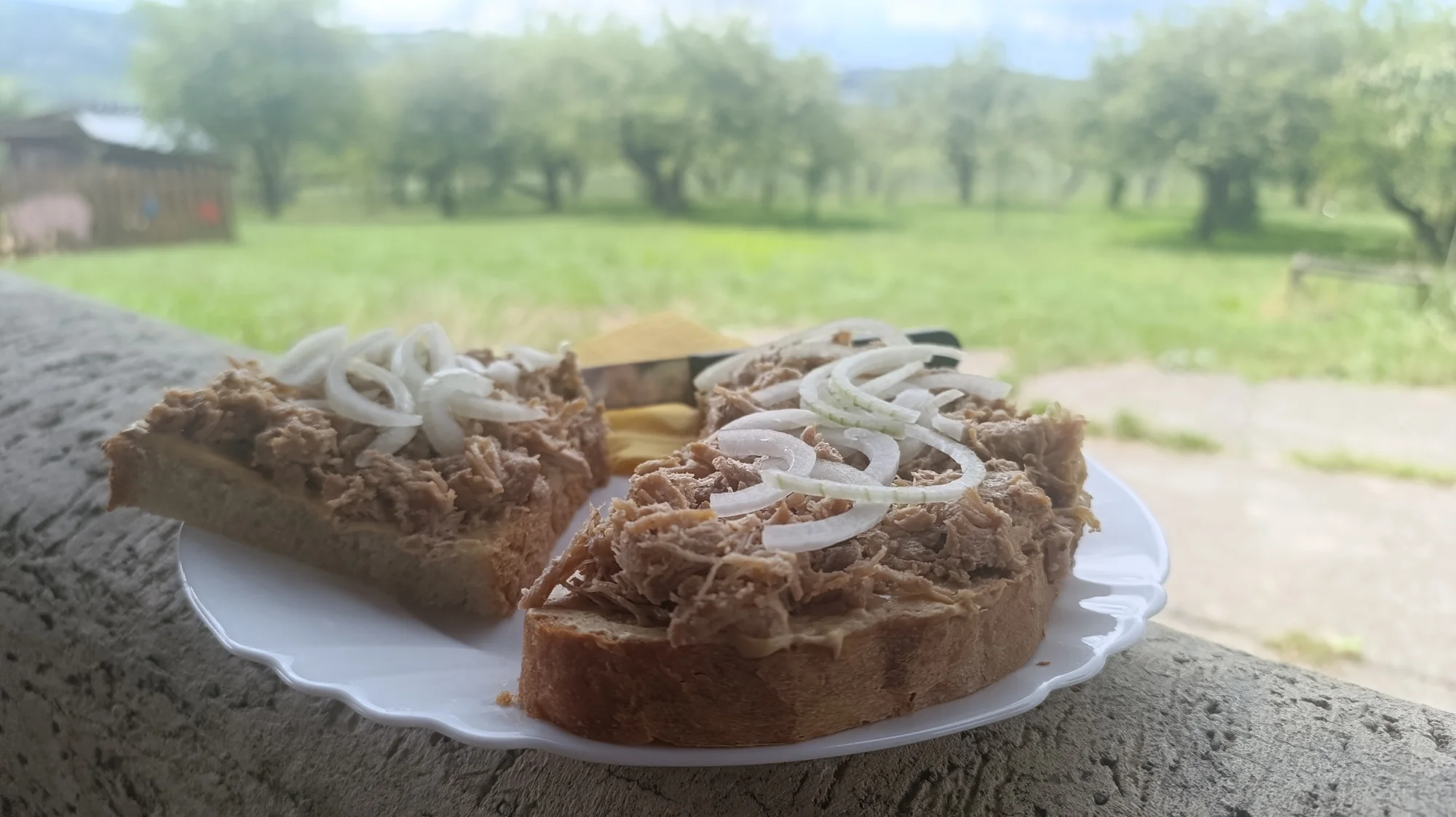 Tříchodové menu s gulášem nebo domácím chlebem s pečeným masem pro dva