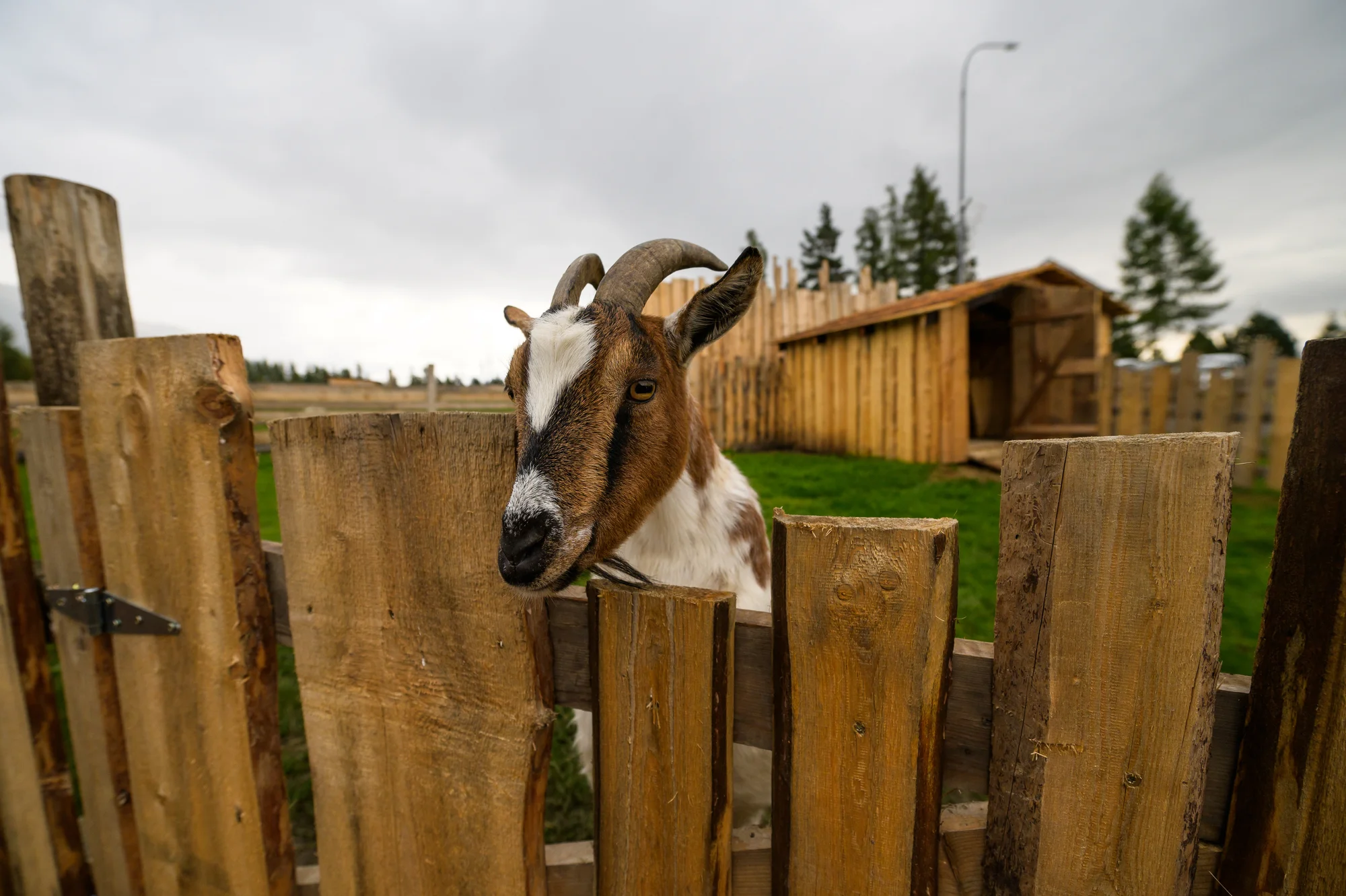 Rodinný rezort s výhledem na Gerlach: Zverofarma, megahřiště i animace