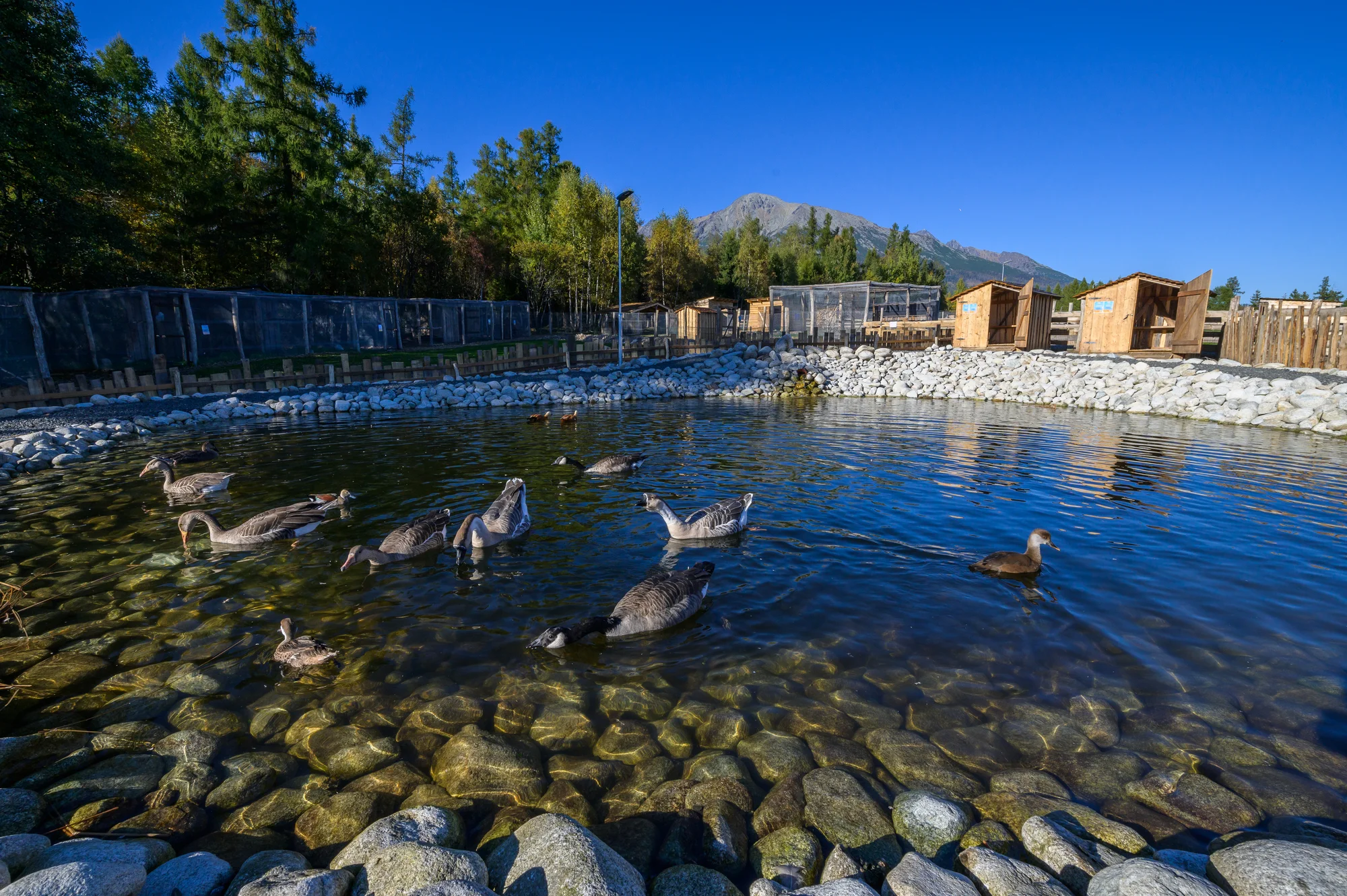 Rodinný relax v Gerlachově: polopenze, neomezený wellness i bohatý program pro děti