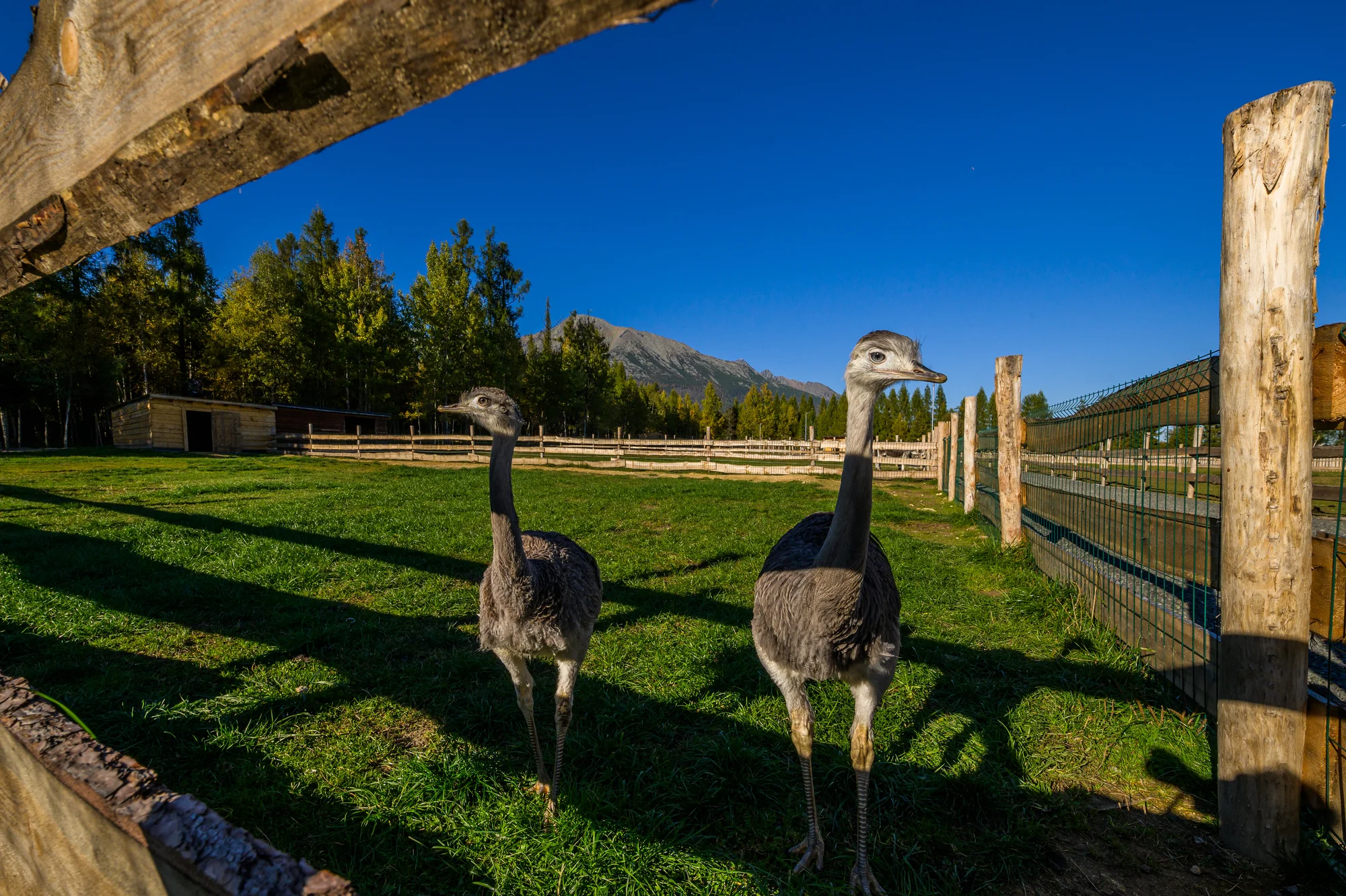 Rodinný relax v Gerlachově: polopenze, neomezený wellness i bohatý program pro děti