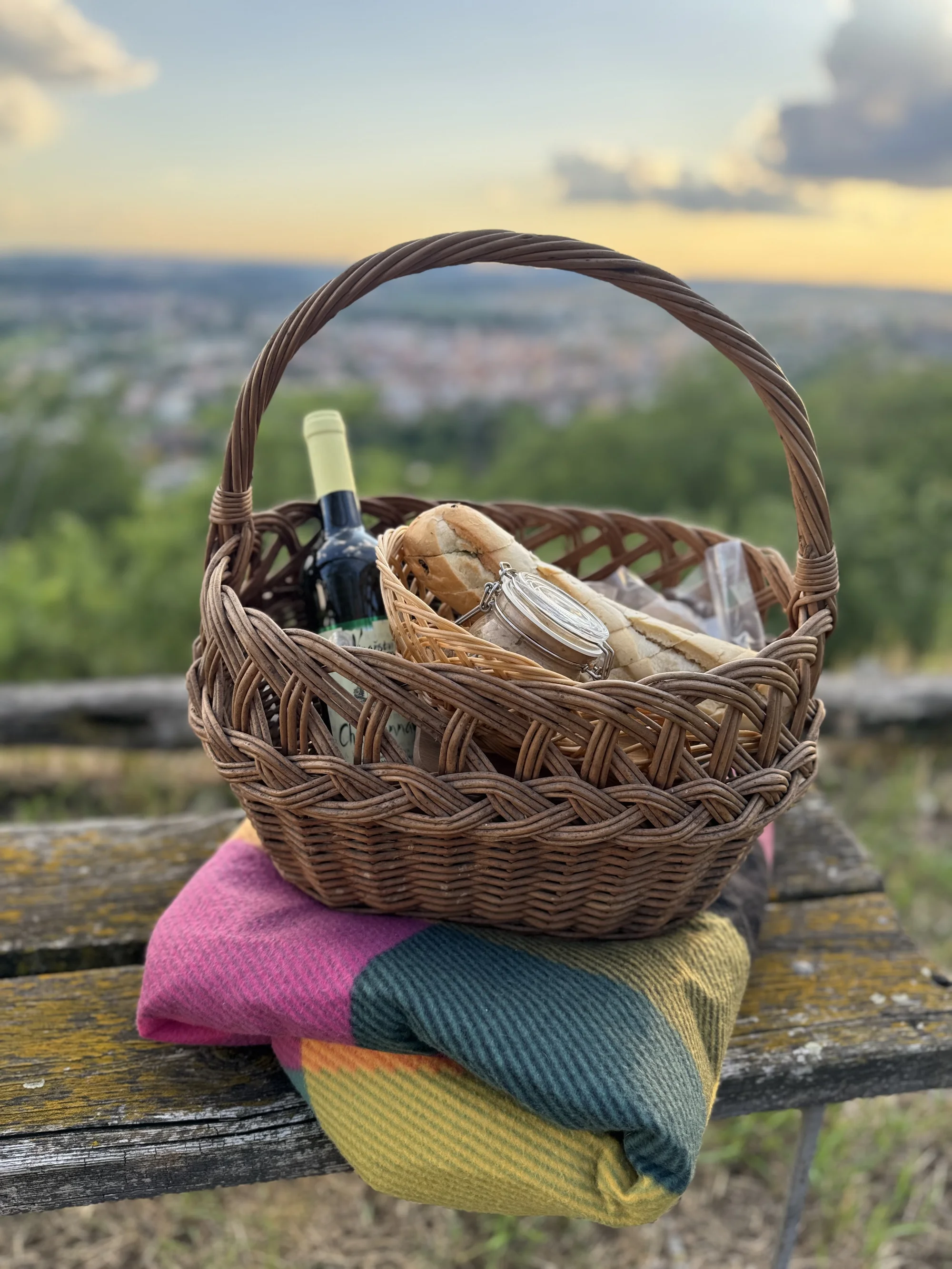 Degustace vín a romantický piknik ve vinici na jižní Moravě pro 2 osoby