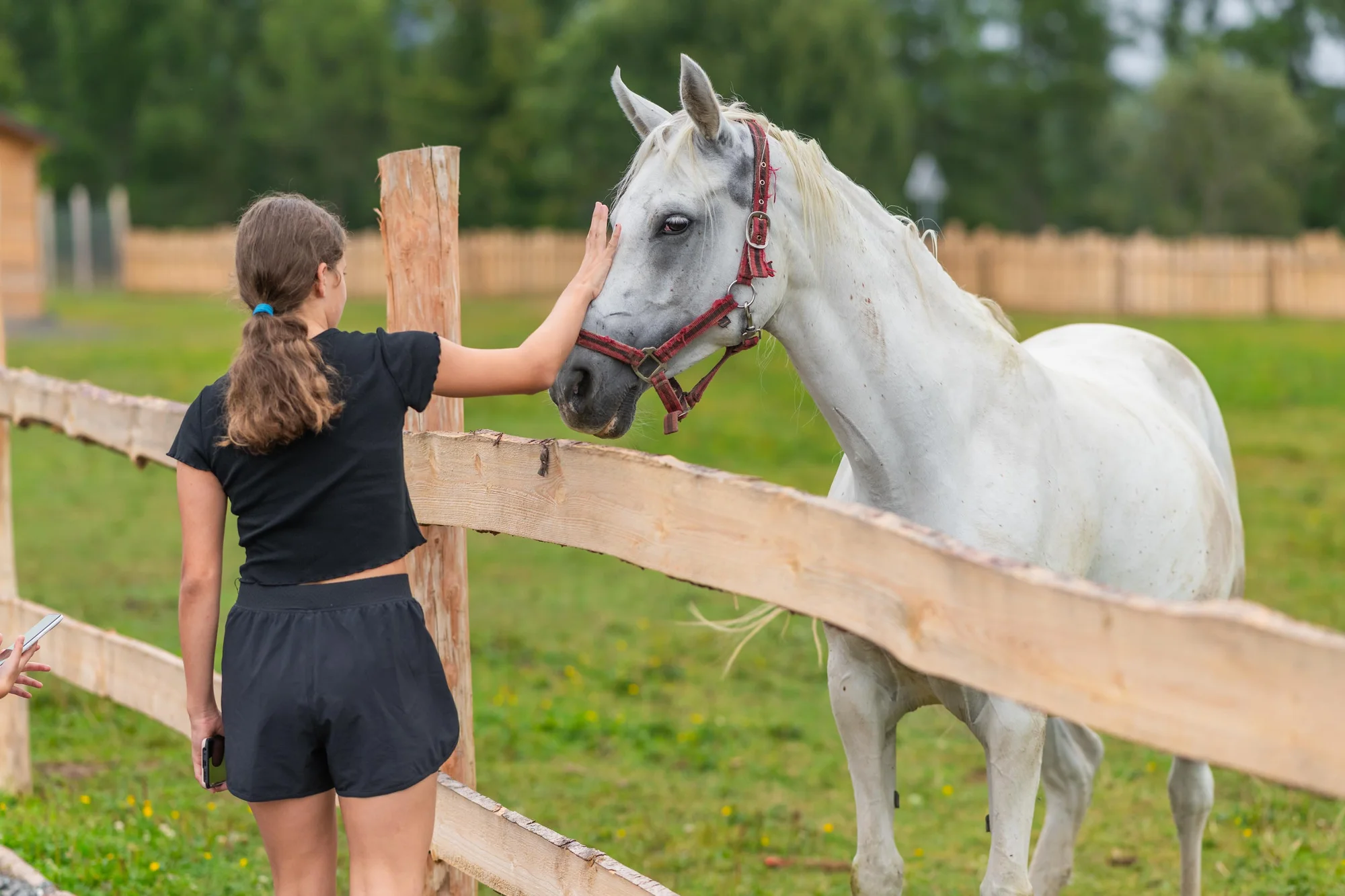 Rodinný rezort s výhledem na Gerlach: Zverofarma, megahřiště i animace