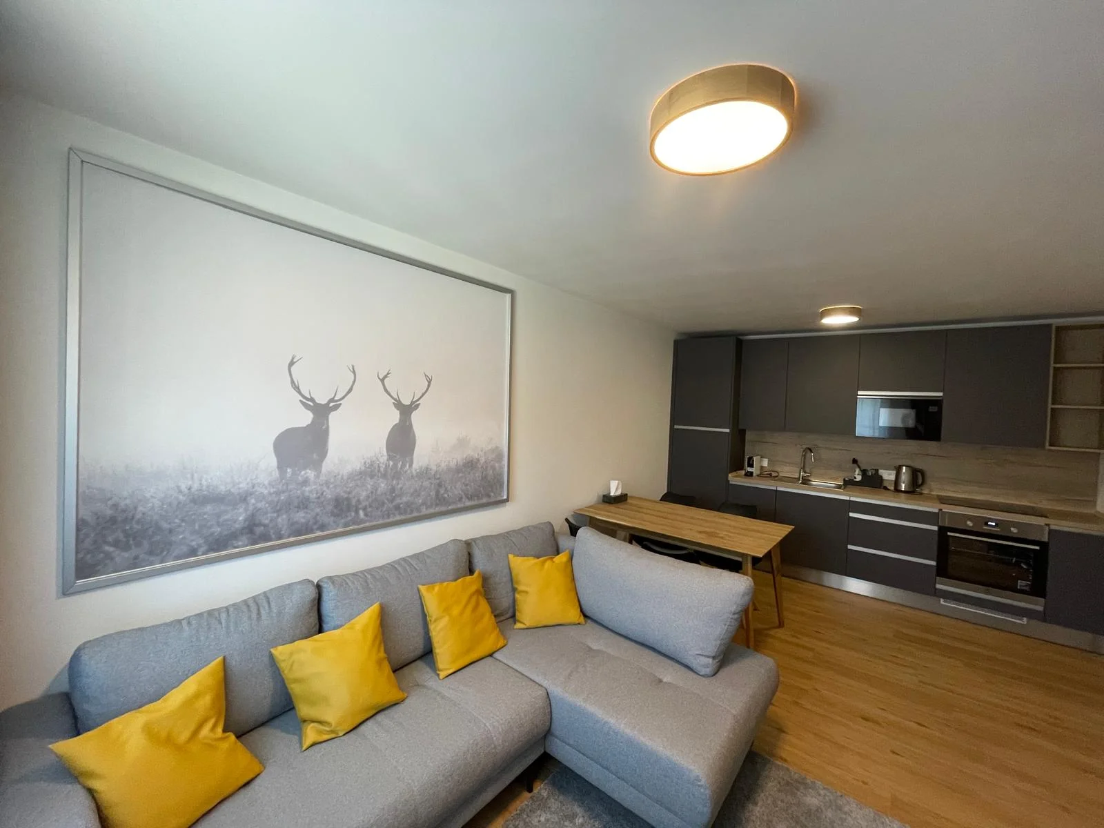 Krásné apartmány na Šumavě až pro 4 osoby i balíčky s privátním wellness