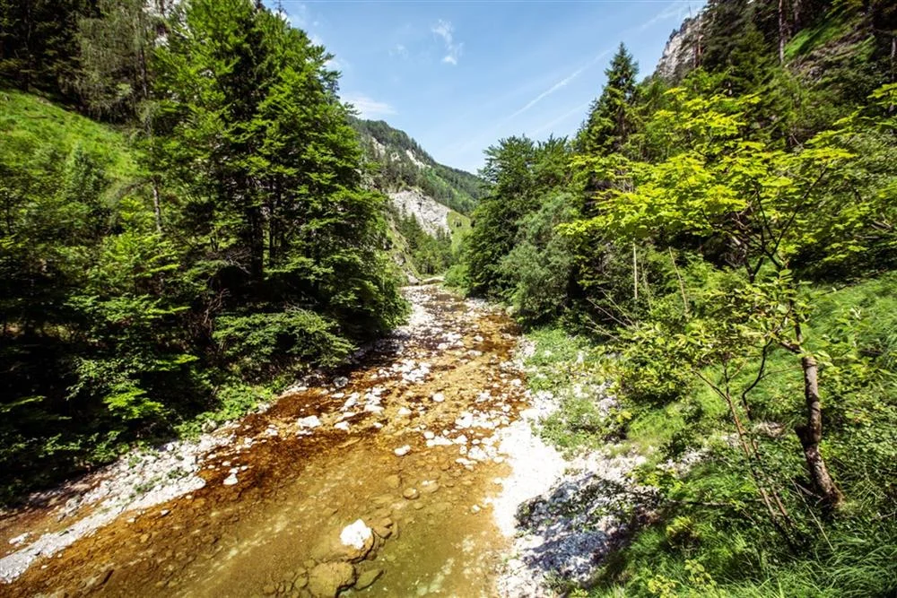 Jednodenní zájezd do rakouského národního parku Ötscher-Tormäuer