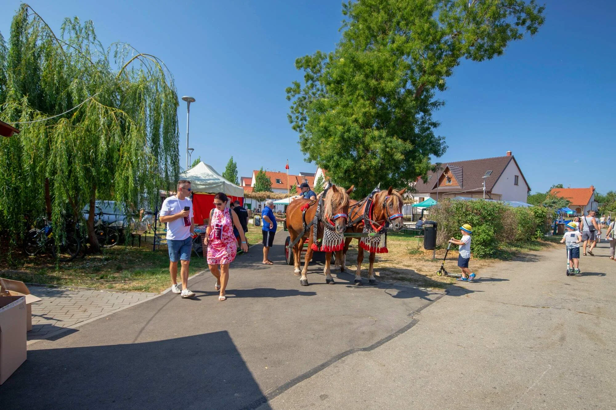 Jednoduchá vstupenka na Otevřené sklepy Mikulčice 2025