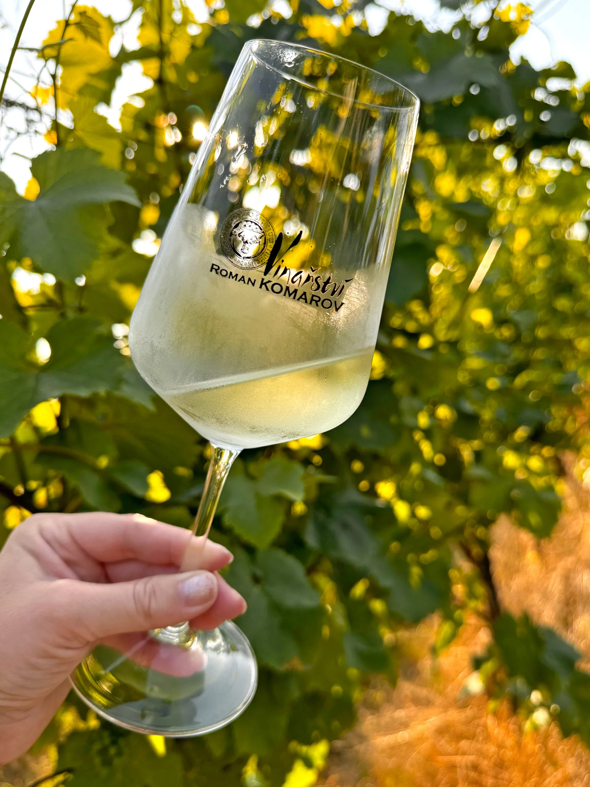 Degustace vín a romantický piknik ve vinici na jižní Moravě pro 2 osoby