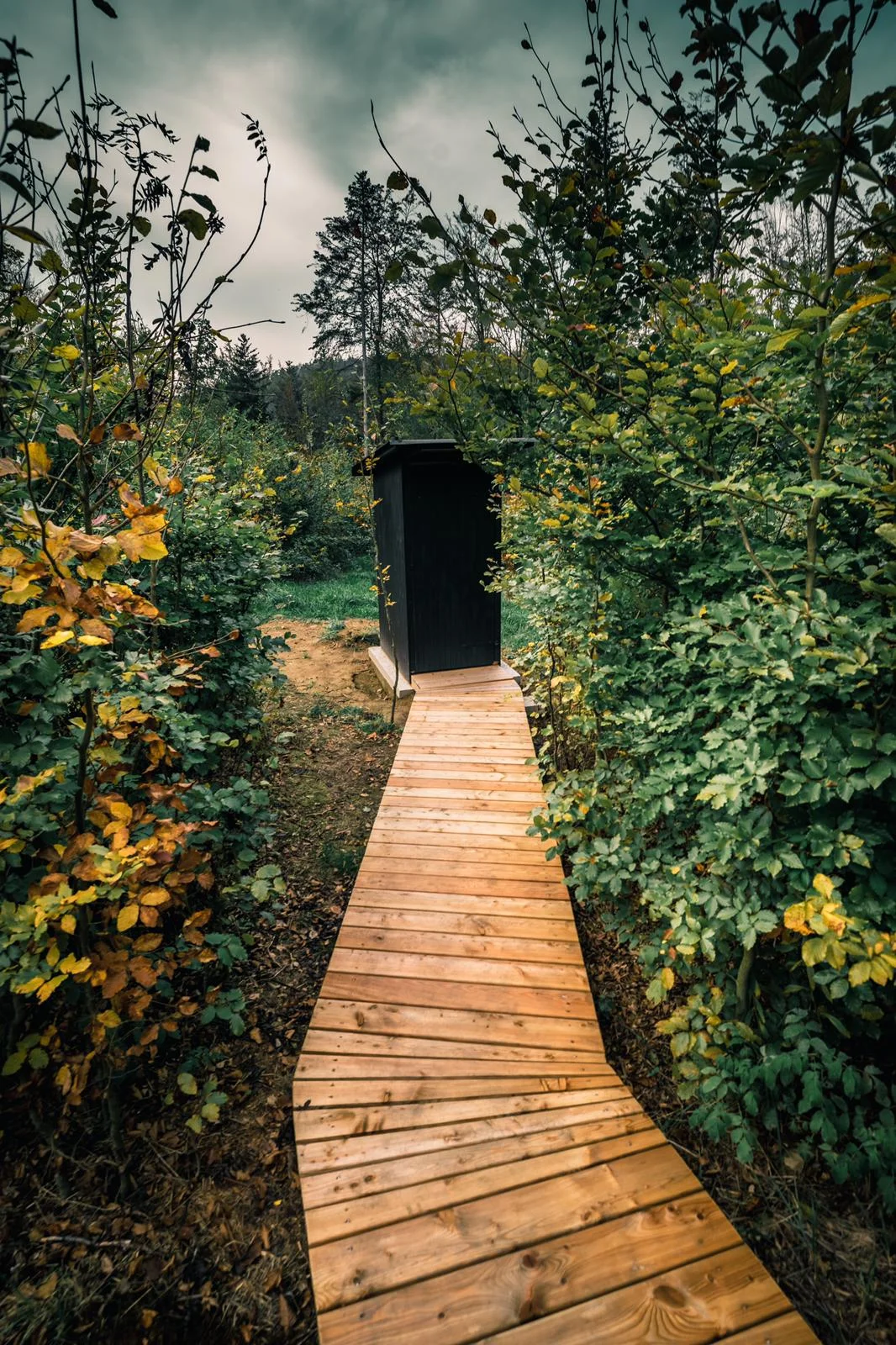 Tiny house na Sázavě: cedrová sauna, možnost snídaní i grilování
