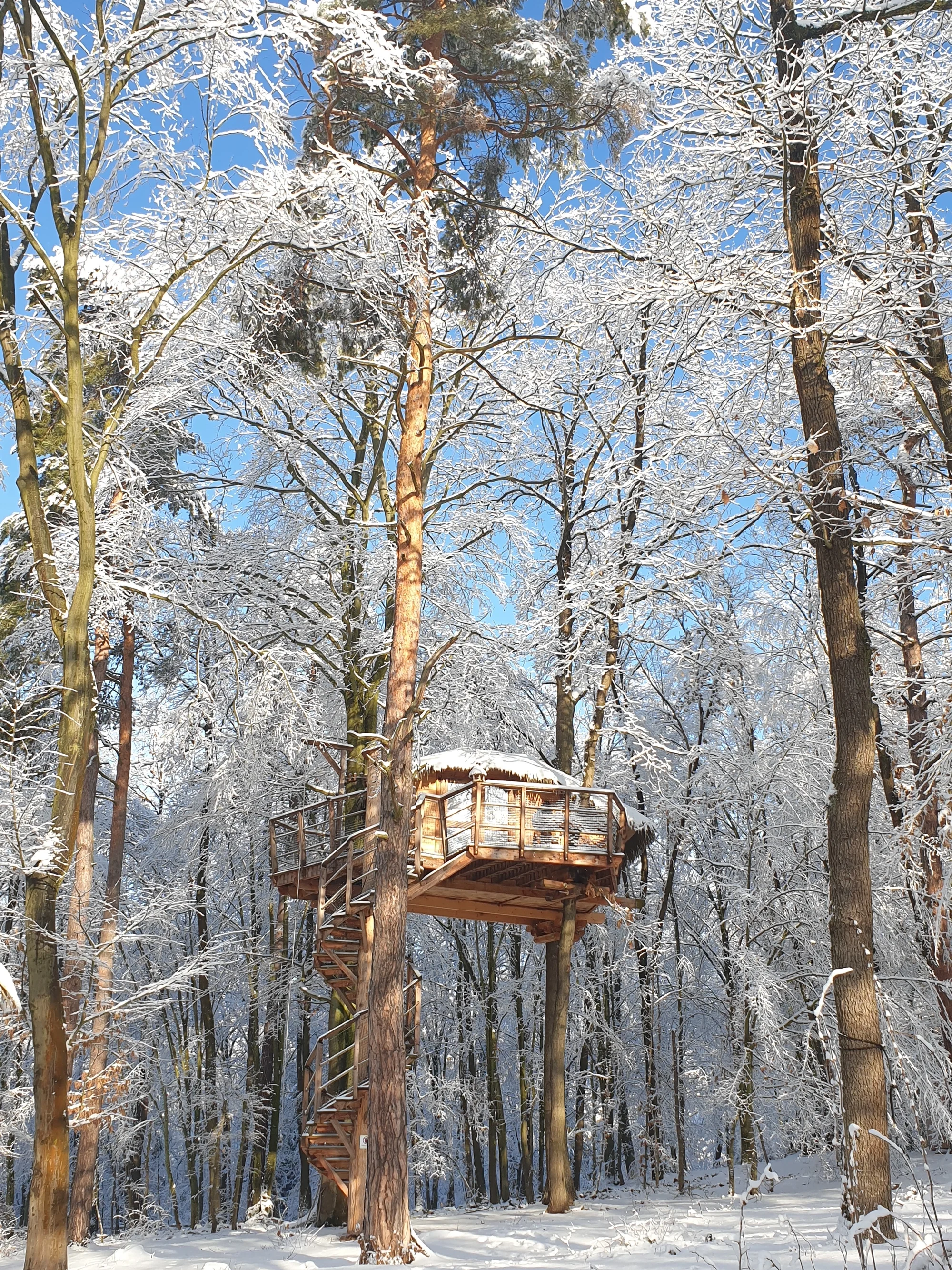 Romantický treehouse na Sázavě: plný minibar, možnost snídaně a božský výhled