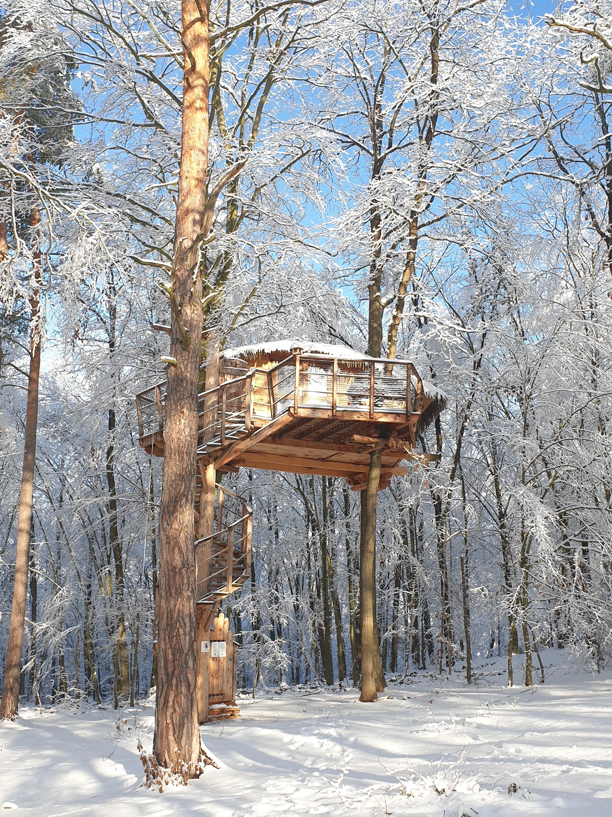 Romantický treehouse na Sázavě: plný minibar, možnost snídaně a božský výhled