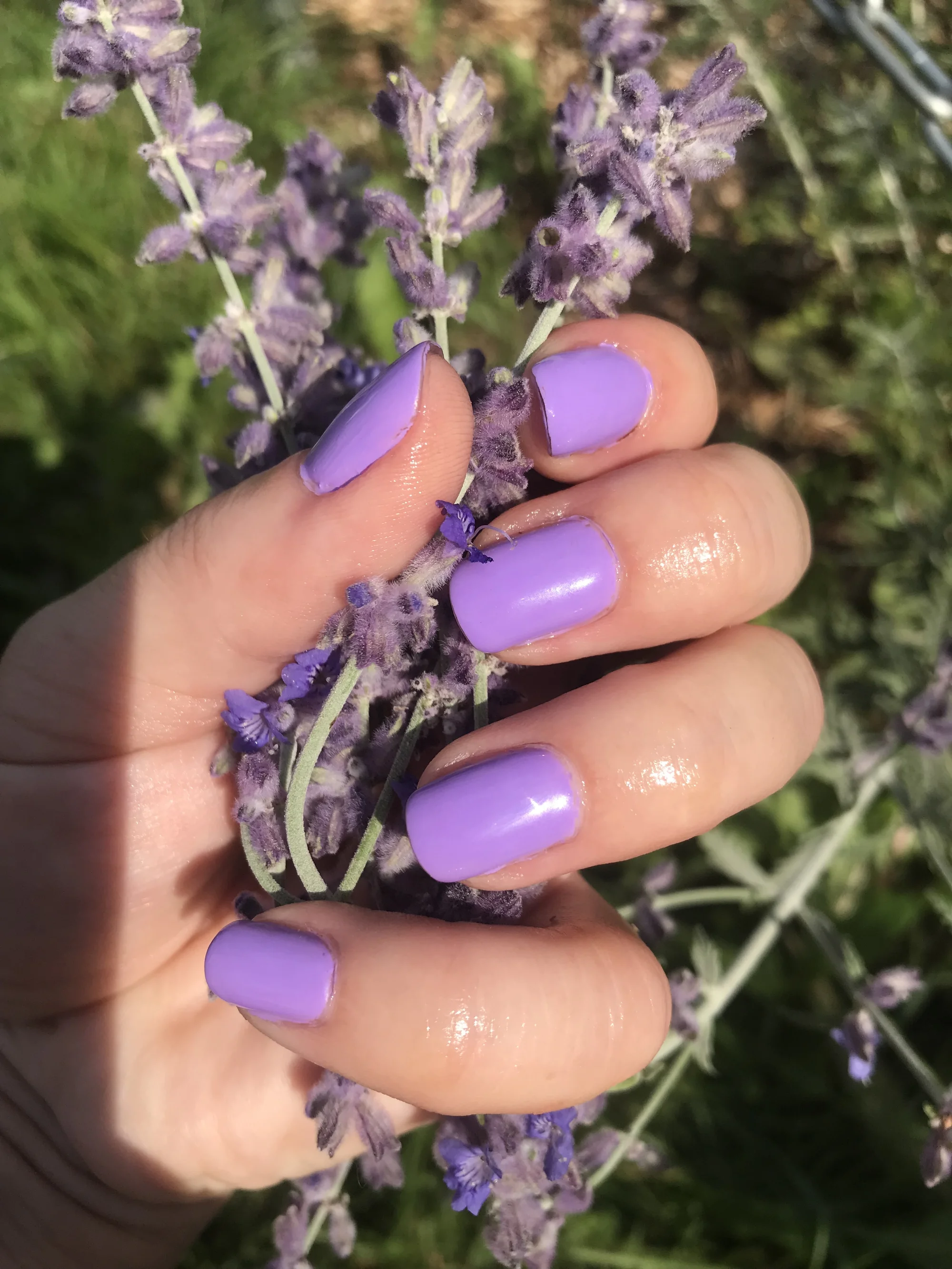 Manikúra s P-Shine, gel lak, francouzská manikúra i SPA manikúra s masáží