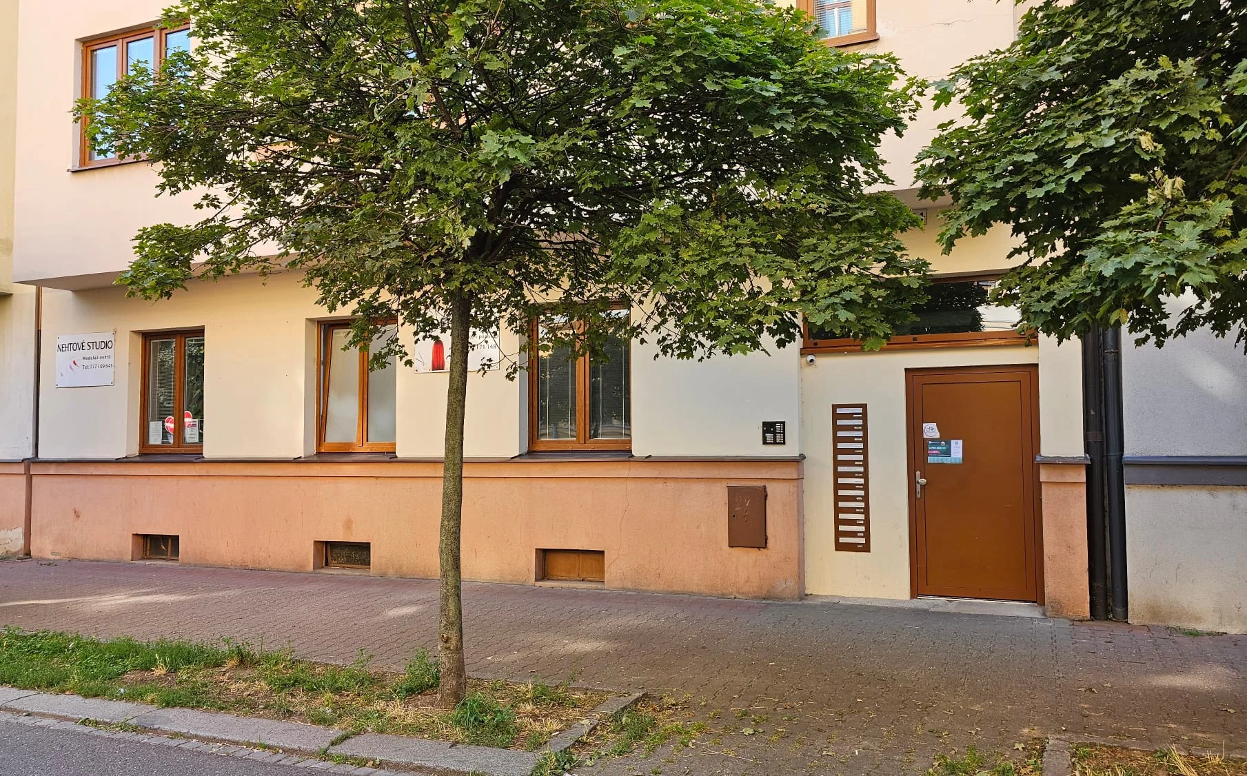 Zasloužený relax a odpočinek: masáž zad a šíje, celého těla nebo Breussova masáž