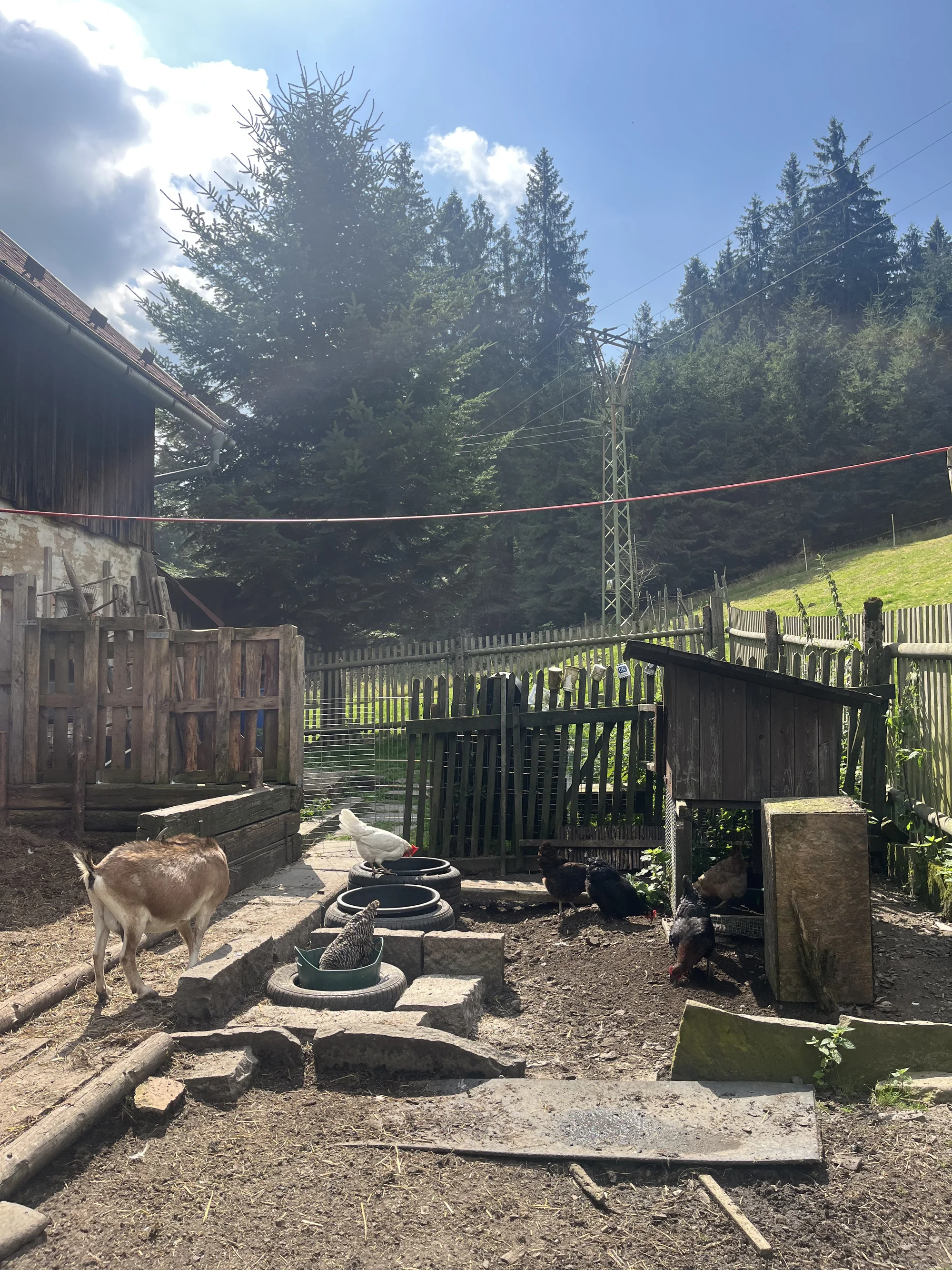 Zážitek na záchranné farmě: terapie kozami nebo farmářem na zkoušku pro dva i rodinu