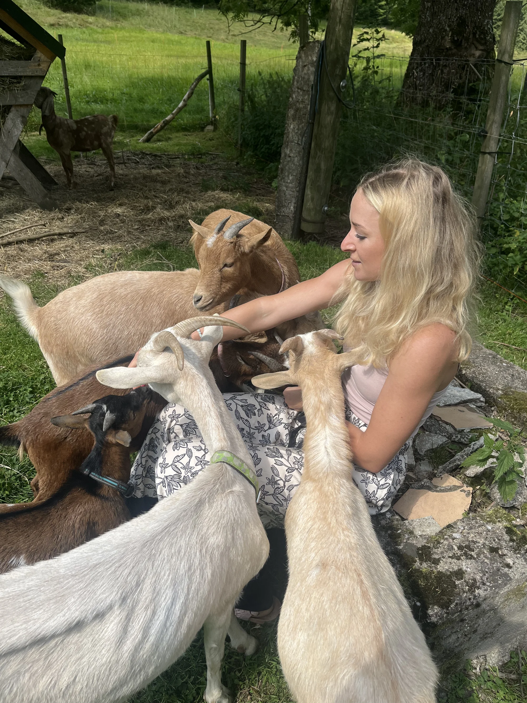 Zážitek na záchranné farmě: terapie kozami nebo farmářem na zkoušku pro dva i rodinu