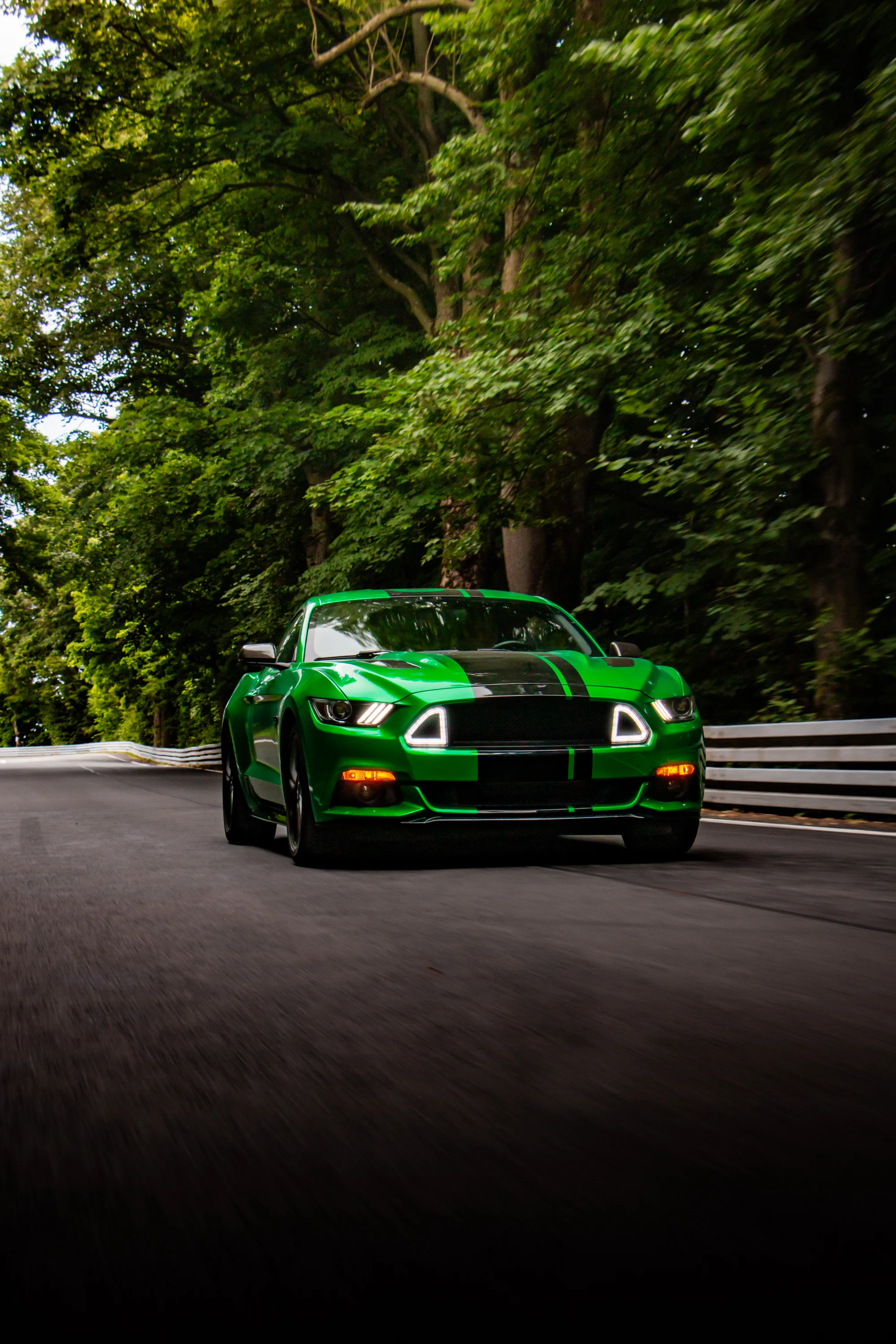 Zážitková jízda ve Fordu Mustang V8: půjčení na 15 až 45 minut nebo na celý den