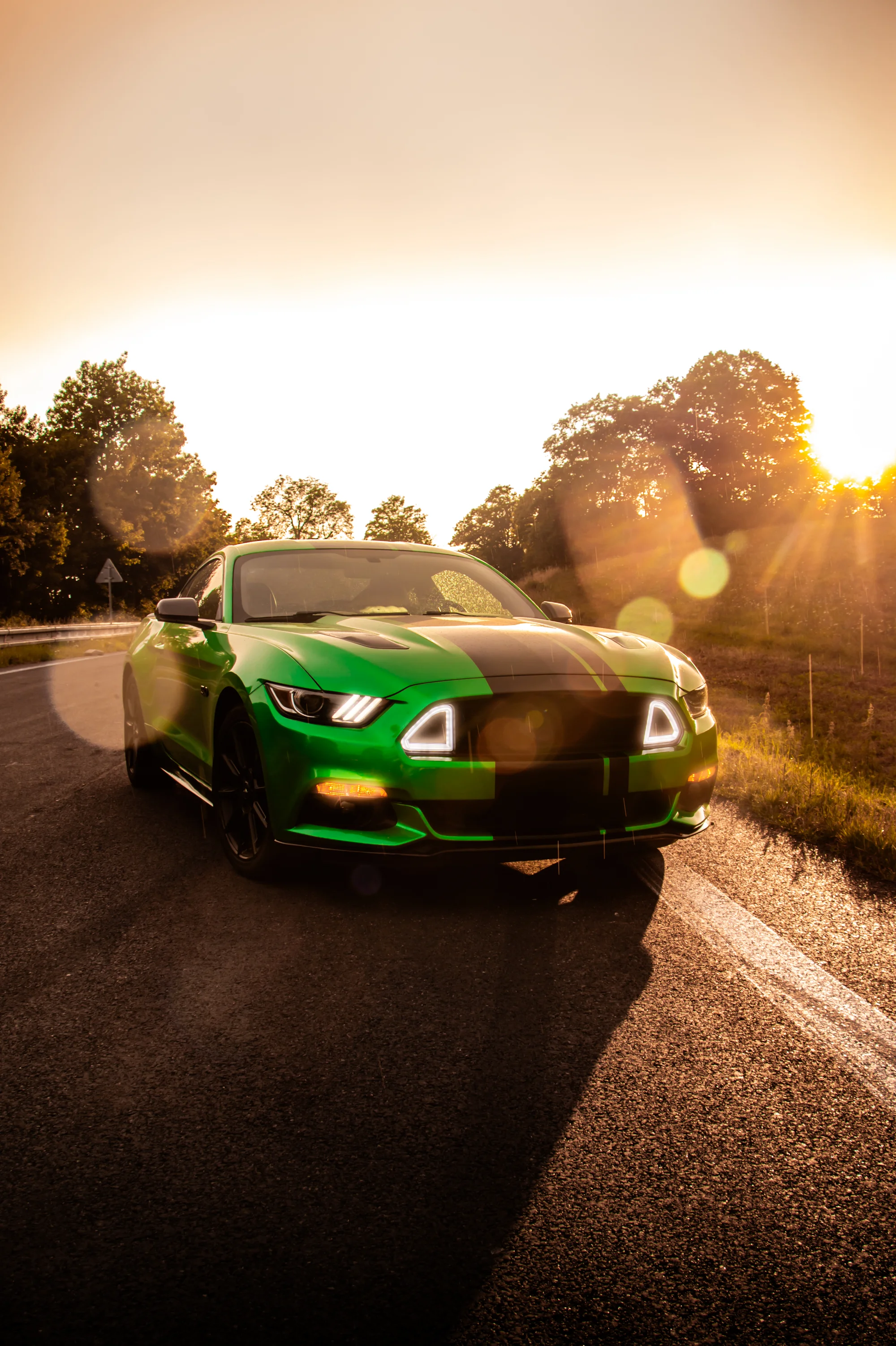 Zážitková jízda ve Fordu Mustang V8: půjčení na 15 až 45 minut nebo na celý den
