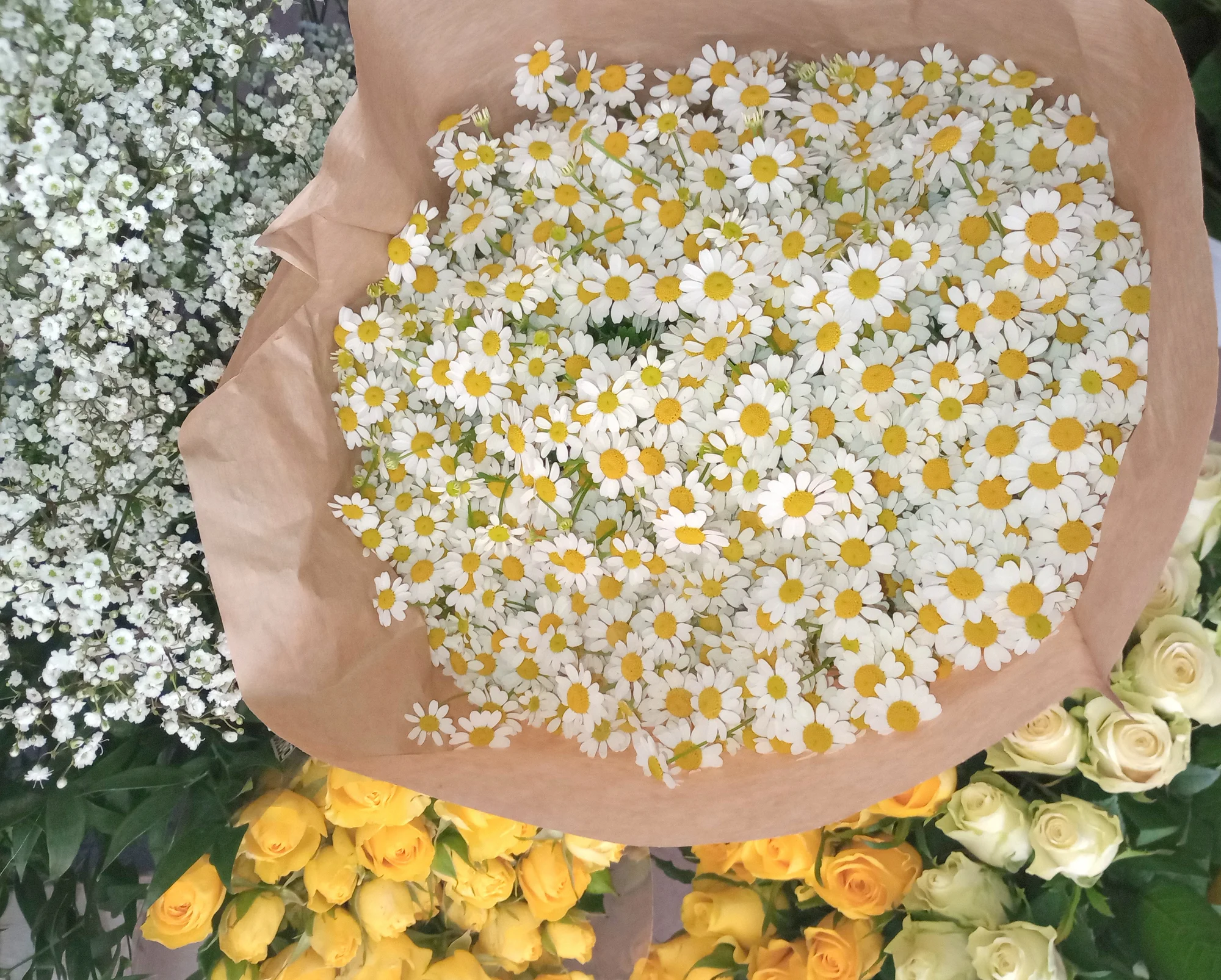 Floristické kurzy: úvod do floristiky, vázání kytic či aranžování květin