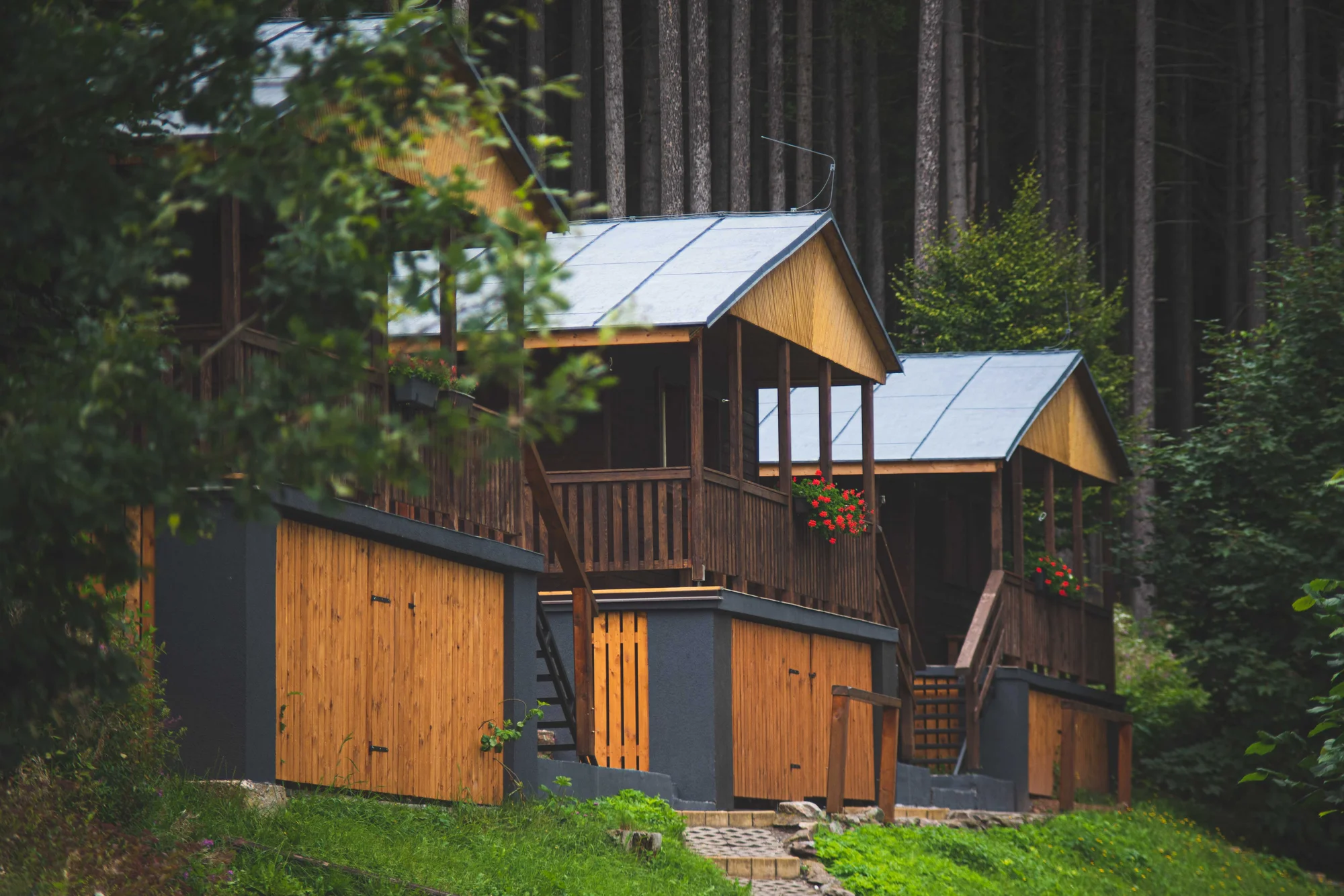 Krásný resort u lesní plovárny v Mladých Bukách na úpatí Krkonoš: koupání, turistika i lyžování na dosah