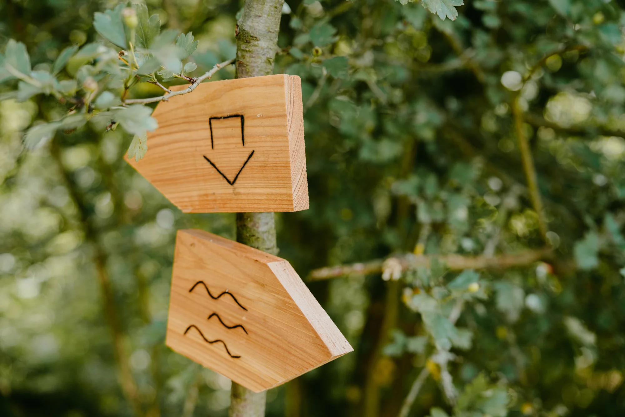 Vybavený tiny house na kraji Šumavy pro dvě osoby s venkovním posezením