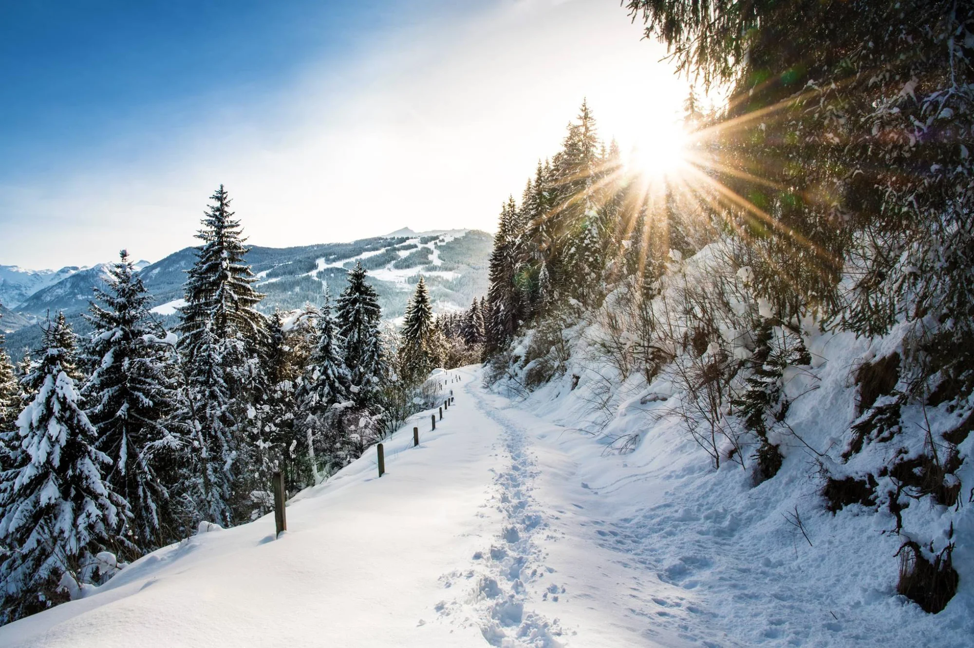 Na lyže do Flachau: dovolená s polopenzí a wellness, hotel blízko sjezdovky, first minute sleva