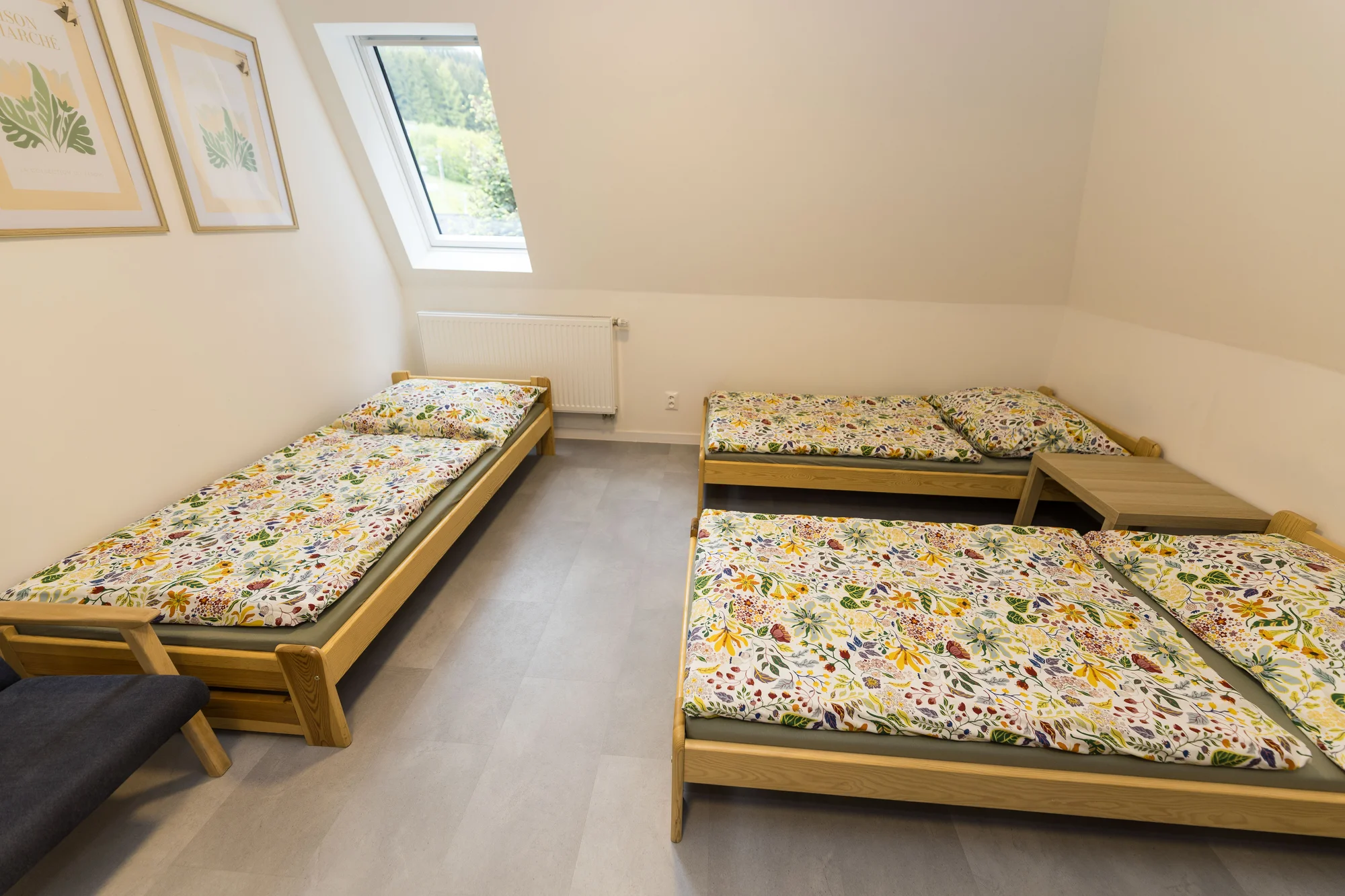 Pokoj či moderní apartmán v Karlově pod Pradědem, vč. snídaně nebo polopenze i vybavené kuchyňky