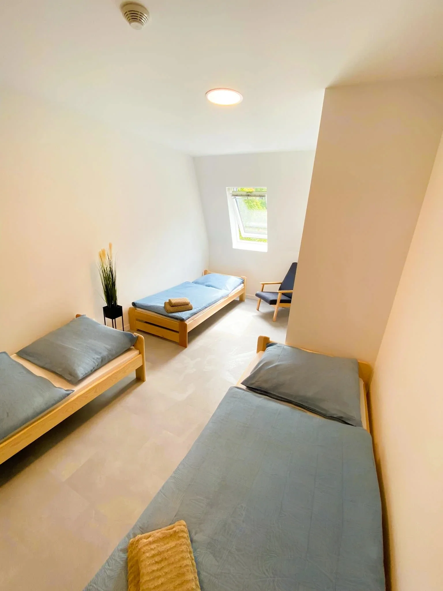 Pokoj či moderní apartmán v Karlově pod Pradědem, vč. snídaně nebo polopenze i vybavené kuchyňky