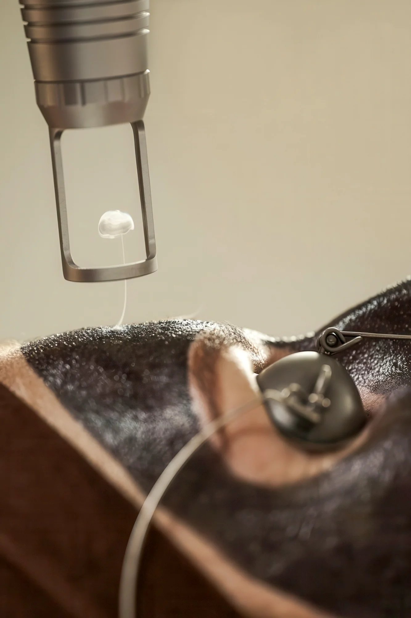 Rozmazlete svou pleť: karbonový peeling v délce 30 až 40 minut