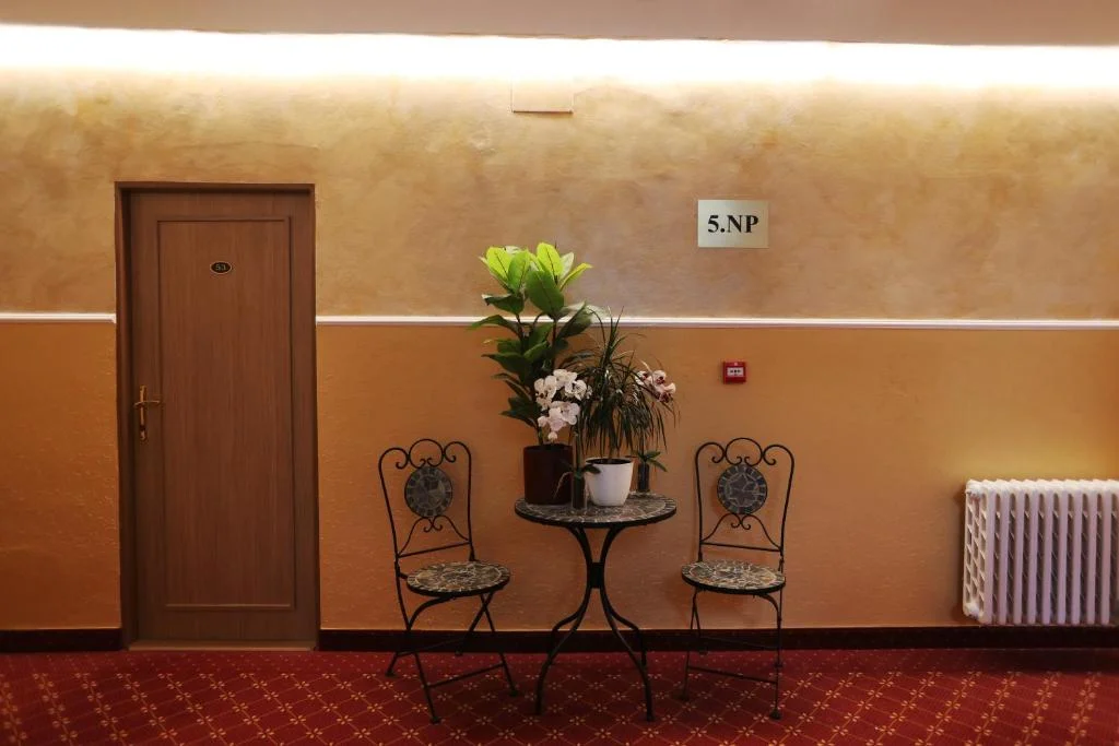 Hotel v centru Karlových Varů: jídlo a wellness, možnost masáže i solné jeskyně