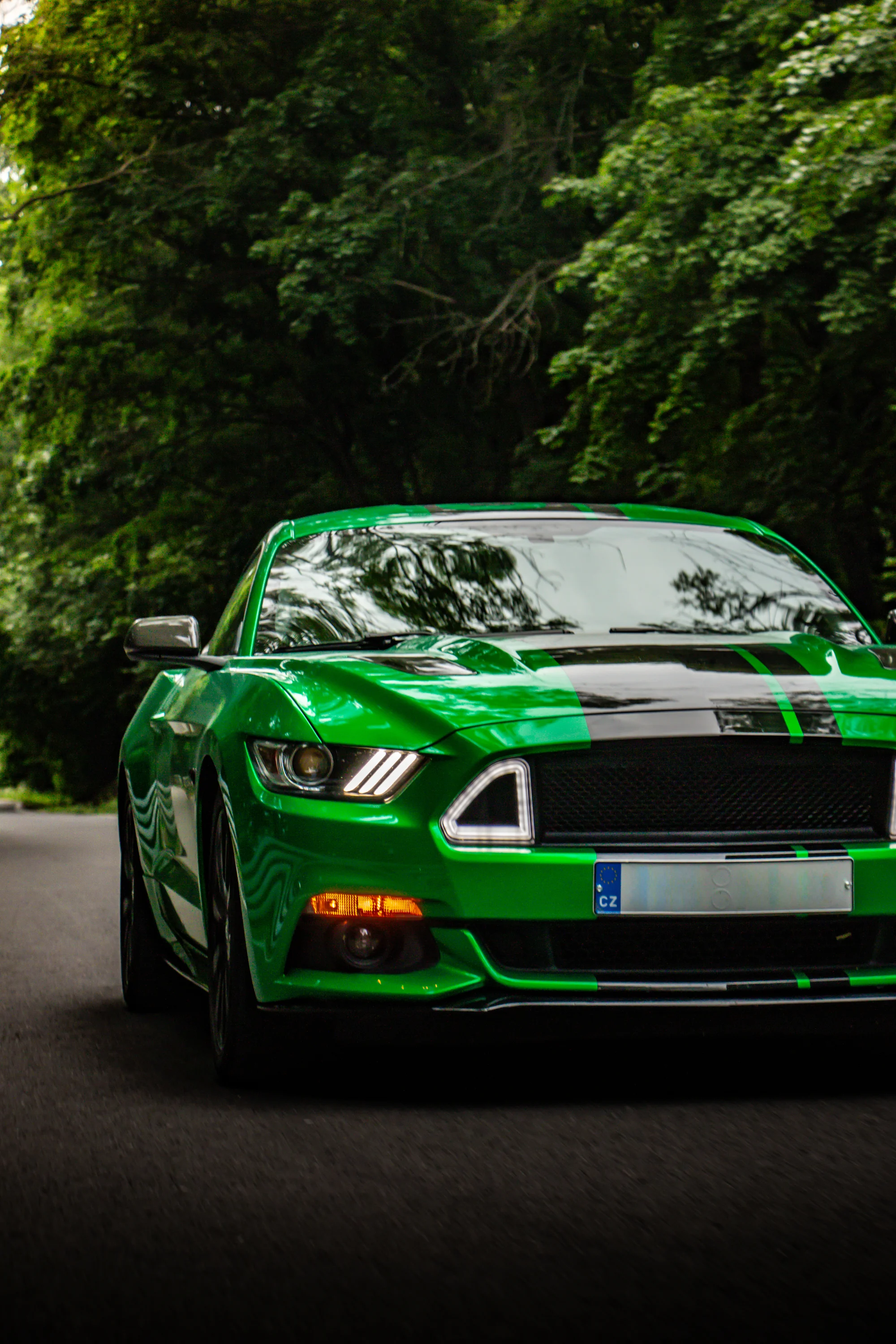 Zážitková jízda ve Fordu Mustang V8: půjčení na 15 až 45 minut nebo na celý den