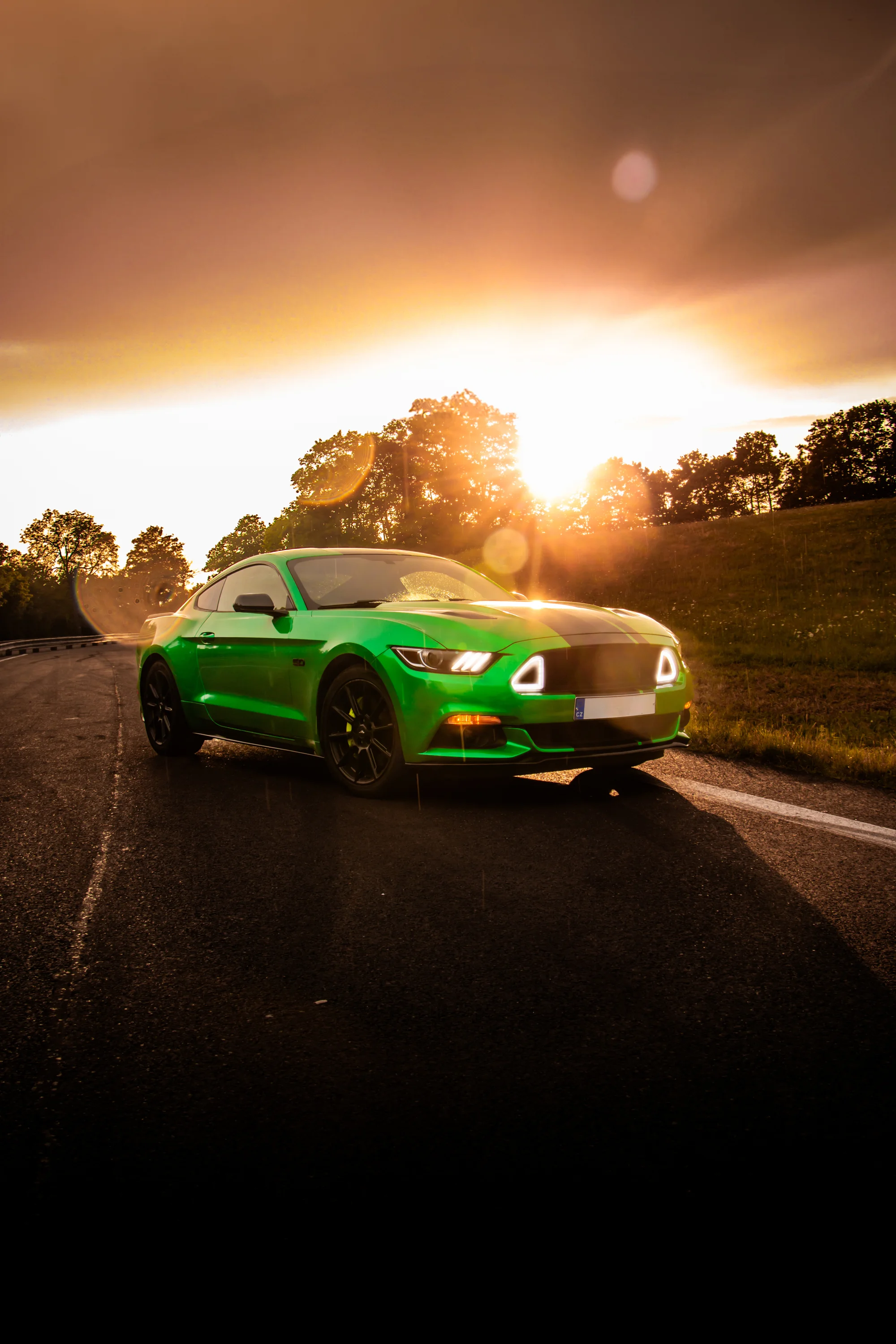 Zážitková jízda ve Fordu Mustang V8: půjčení na 15 až 45 minut nebo na celý den