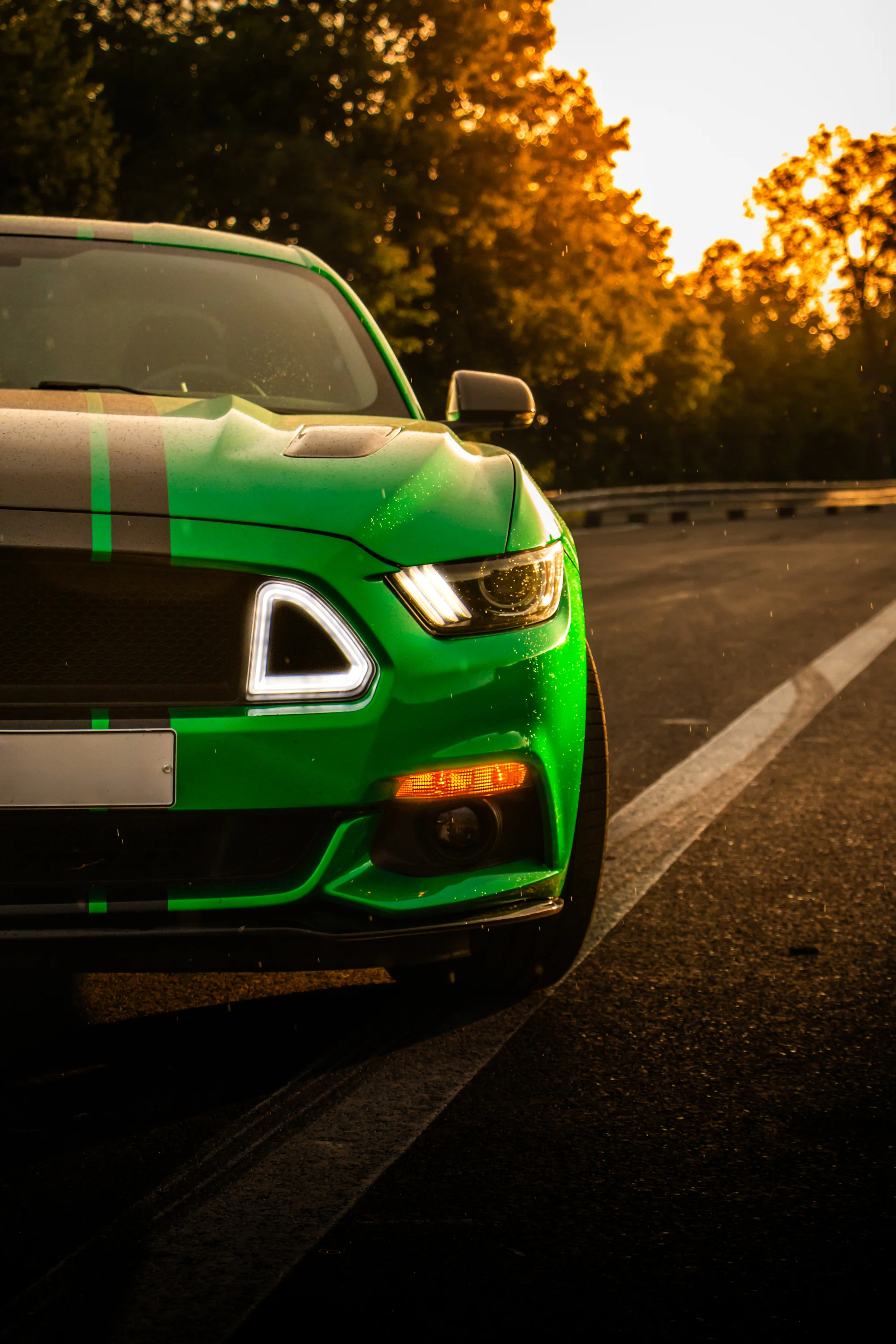 Zážitková jízda ve Fordu Mustang V8: půjčení na 15 až 45 minut nebo na celý den