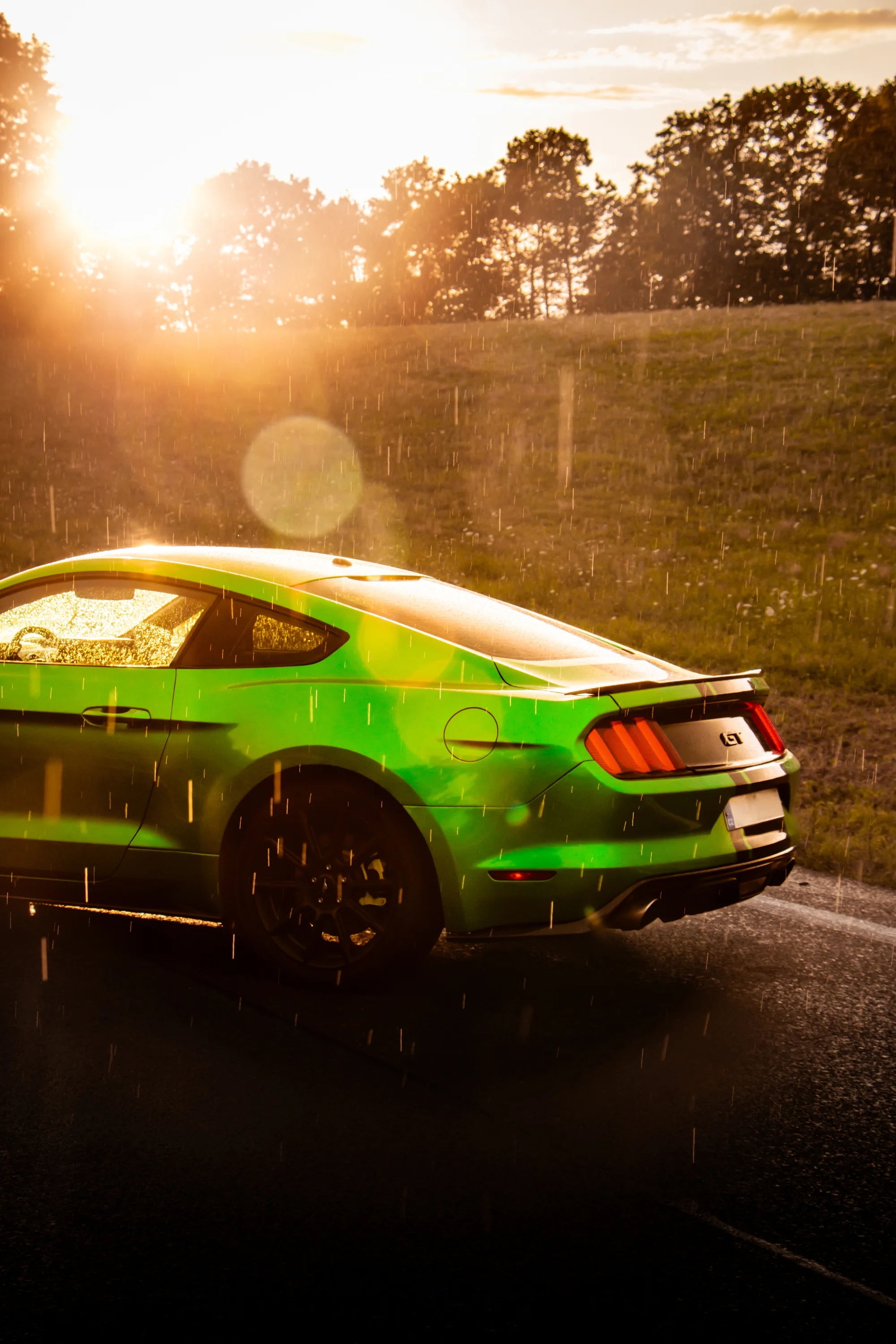 Zážitková jízda ve Fordu Mustang V8: půjčení na 15 až 45 minut nebo na celý den