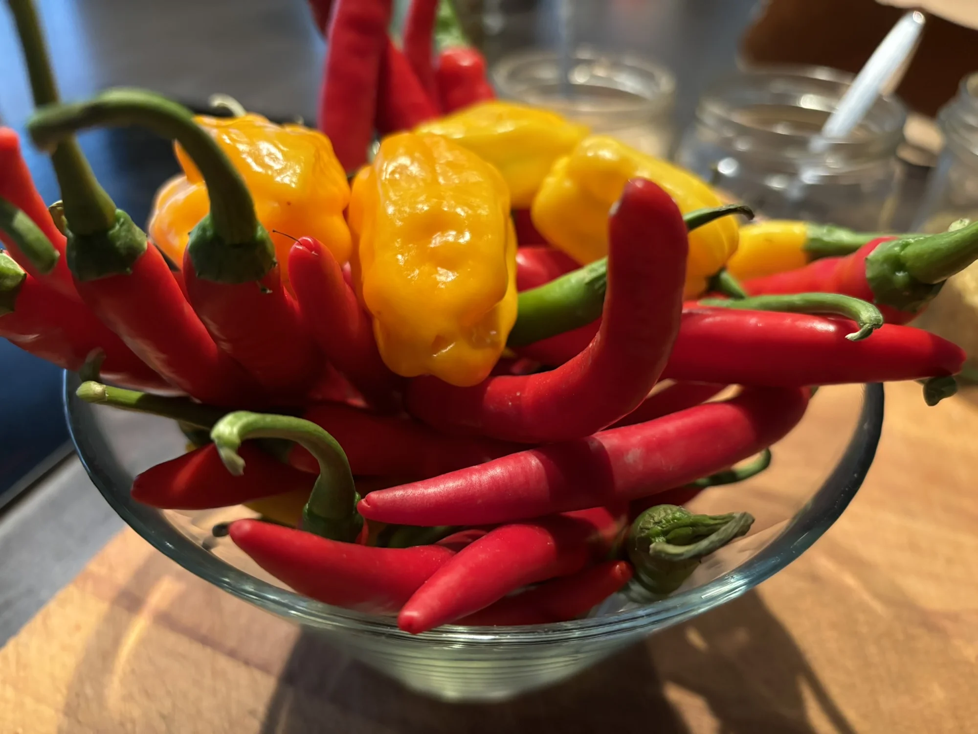 Fajitas, chilli con carne i tacos: tříhodinový kurz vaření pro milovníky Mexika