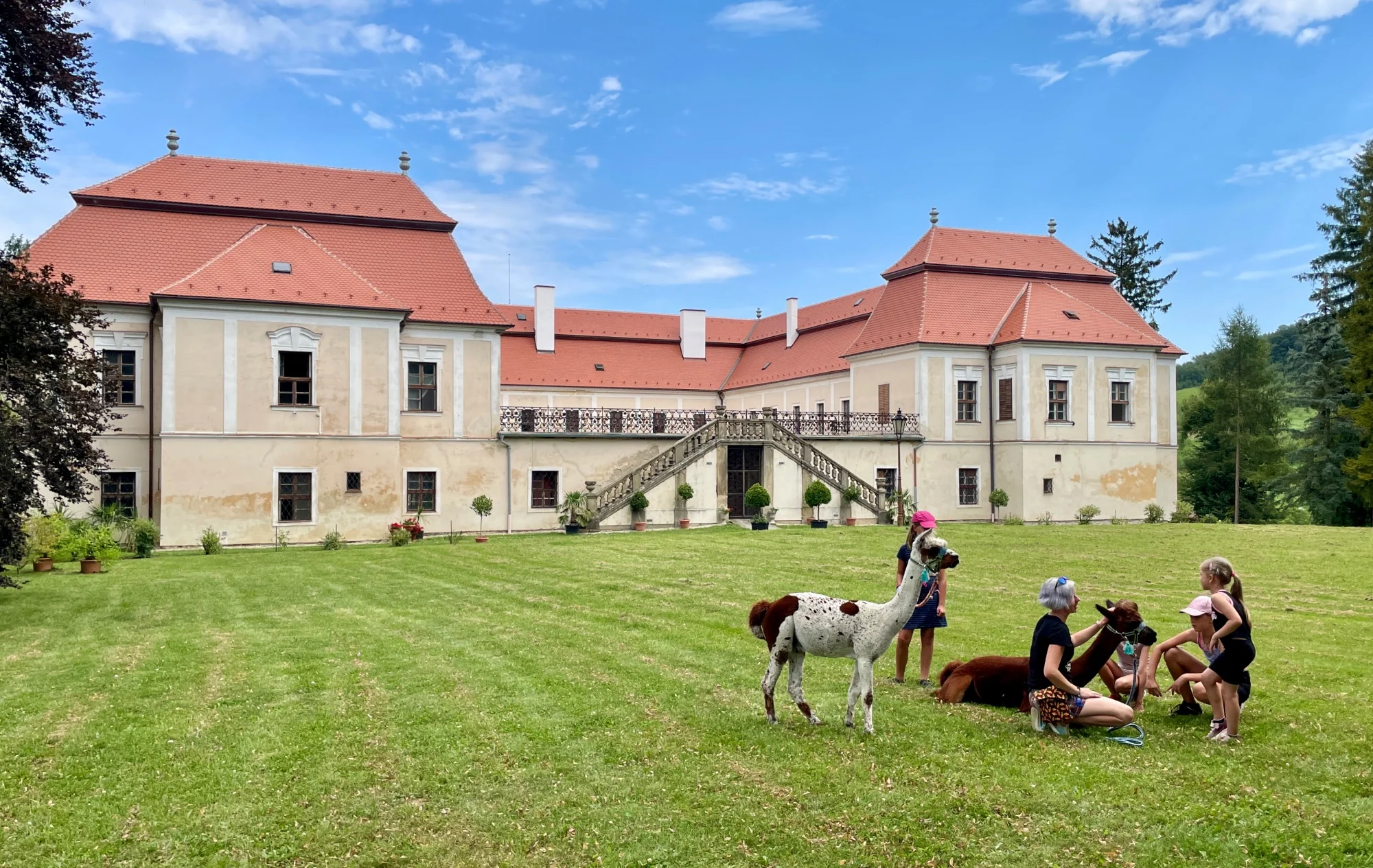 Zážitek pro milovníky zvířat – alpakatrekking na 60 minut v zámeckém parku Koryčany
