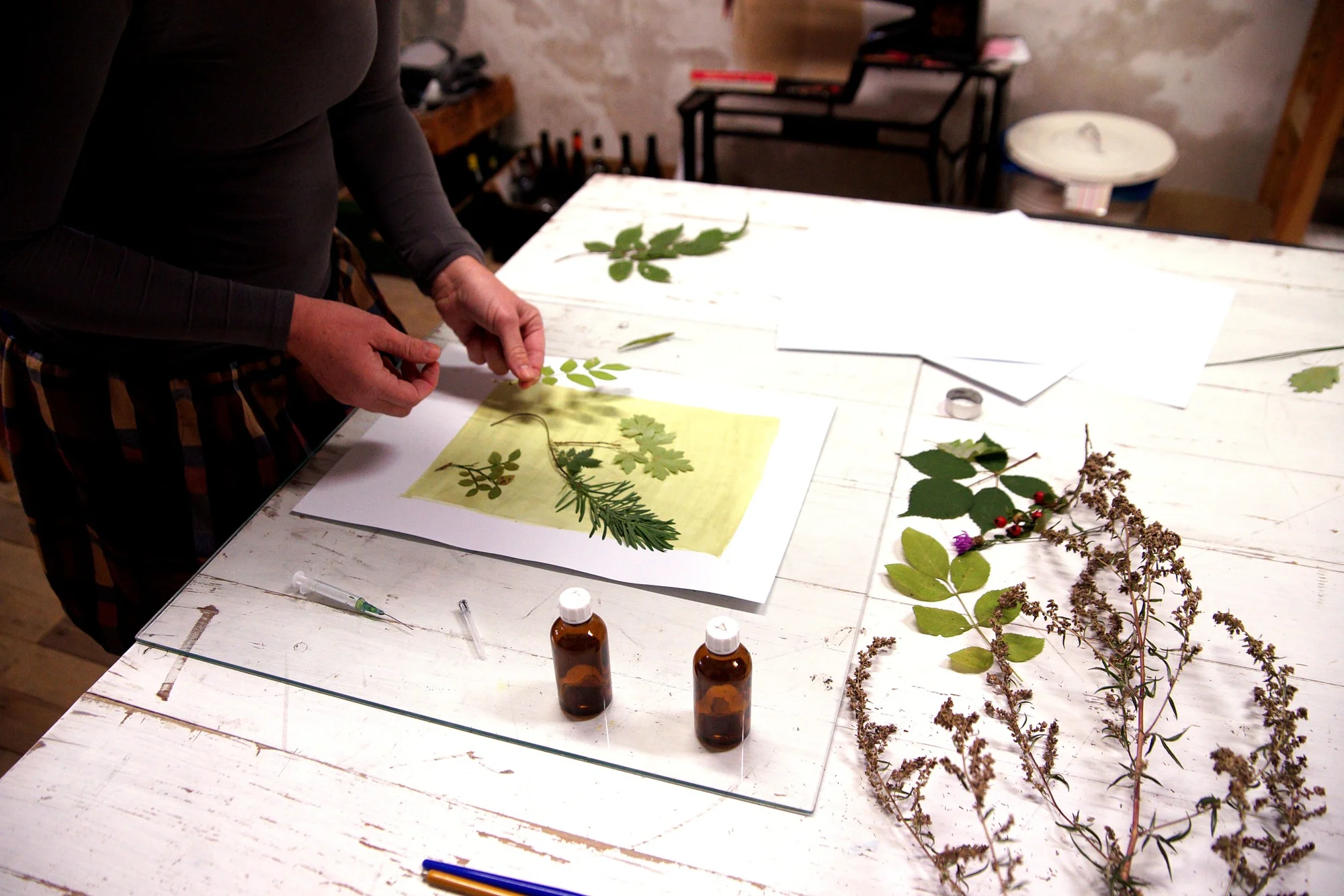 Objevte magii kyanotypie: 3hodinový workshop modrotisku pro 1 nebo 2 osoby