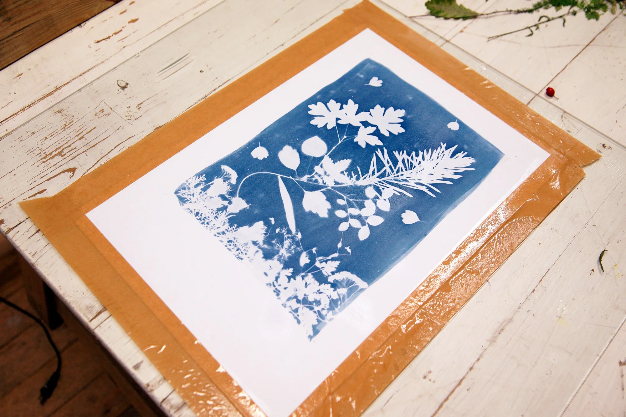 Objevte magii kyanotypie: 3hodinový workshop modrotisku pro 1 nebo 2 osoby