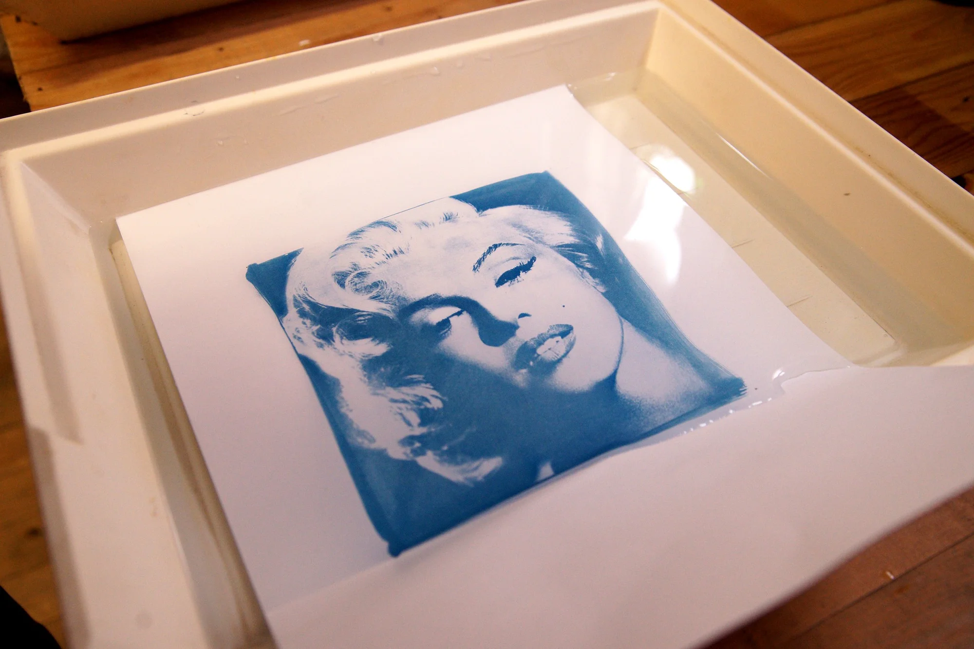 Objevte magii kyanotypie: 3hodinový workshop modrotisku pro 1 nebo 2 osoby