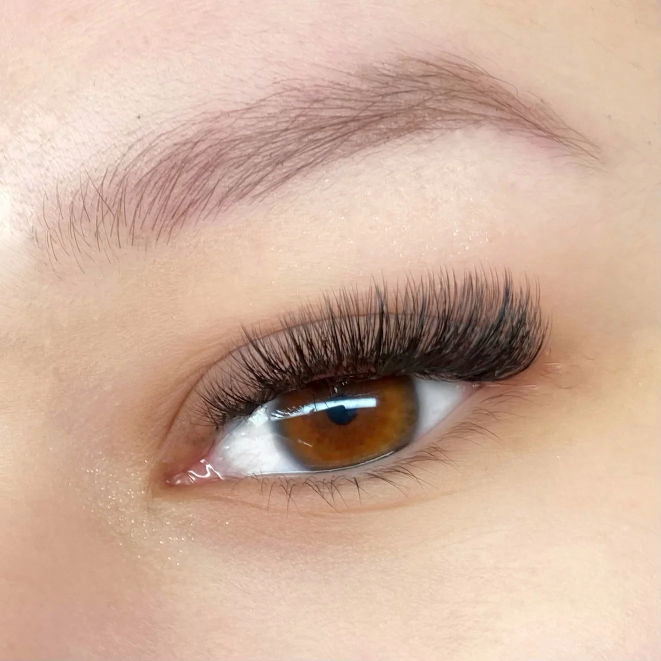 Profesionální prodloužení a zhuštění řas: metoda Classic, Volume, Wispy nebo Wet Look