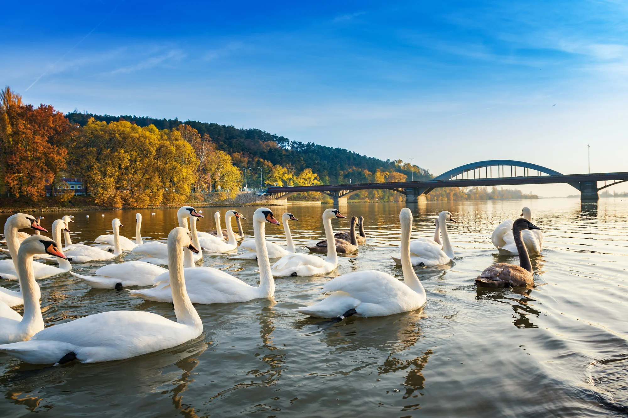 Pohádkový pobyt v centru Piešťan: oblíbená vila se snídaní i privátní wellness