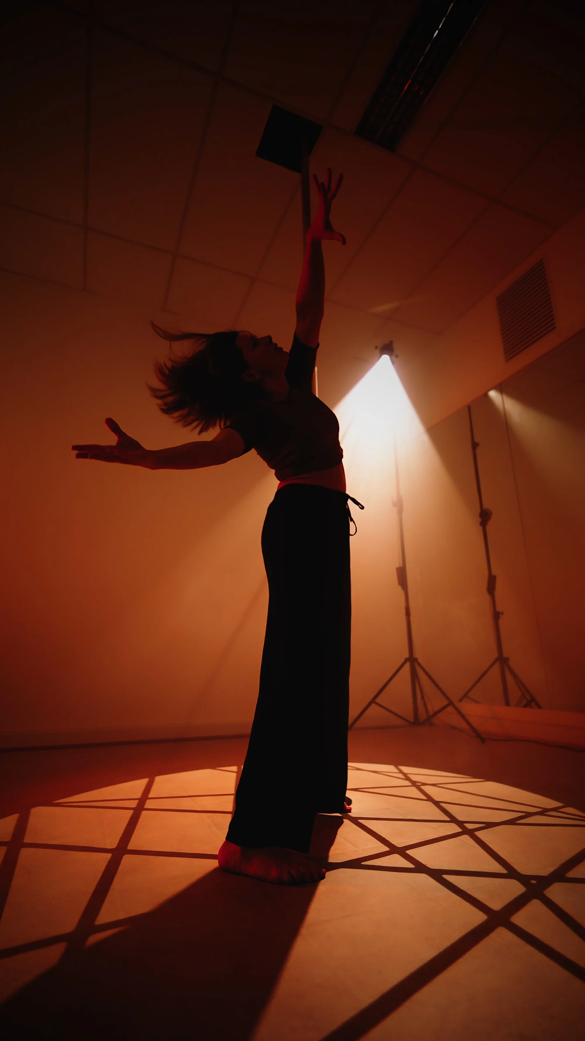 Zažijte pole dance a staňte se hvězdou: příprava na focení, soukromá lekce nebo kurz včetně natáčení