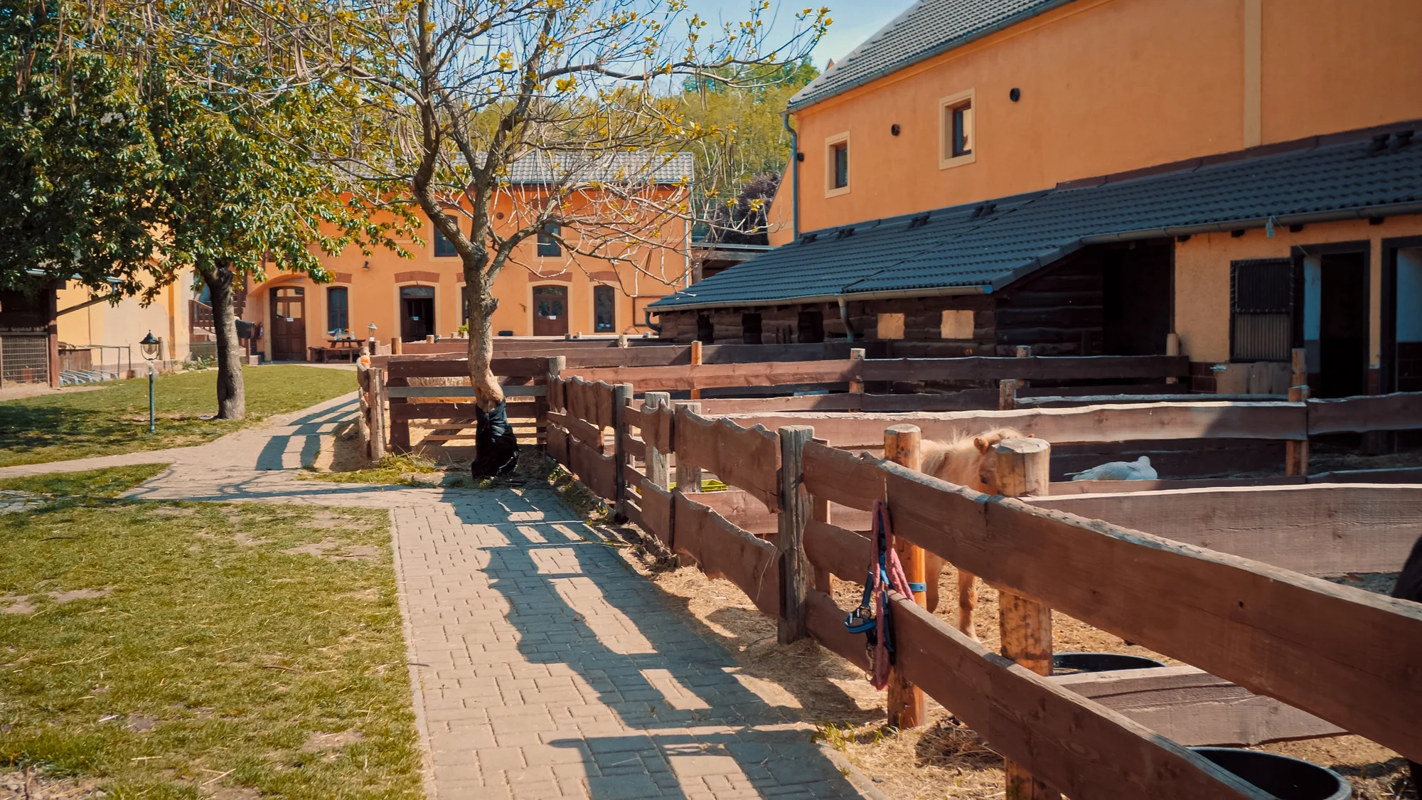 Pobyt na farmě s koňmi, prasátky i ovcemi kousek od Mosteckého jezera i vč. snídaní