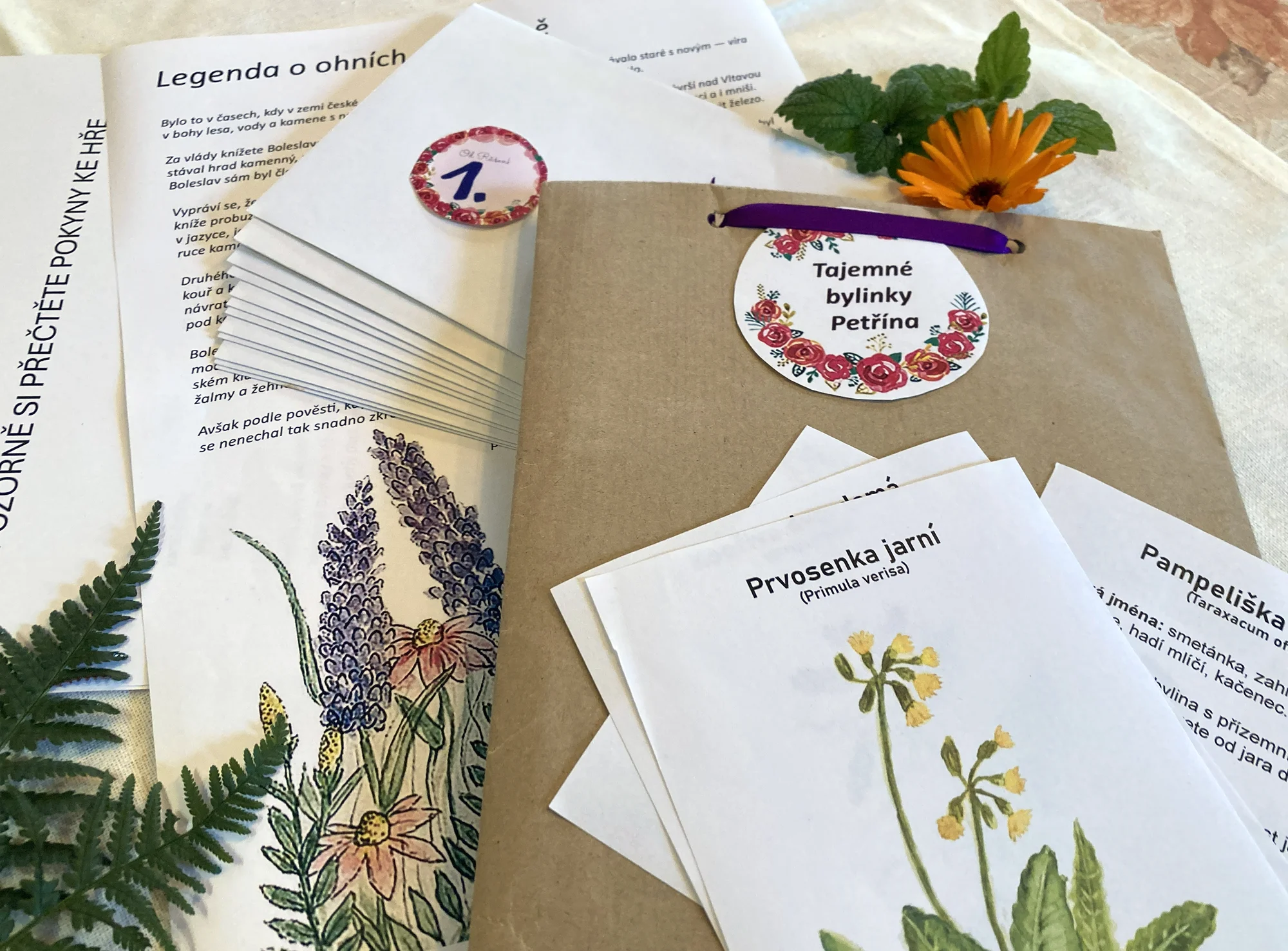 Tajemné bylinky Petřína: venkovní dobrodružná procházka pro celou rodinu