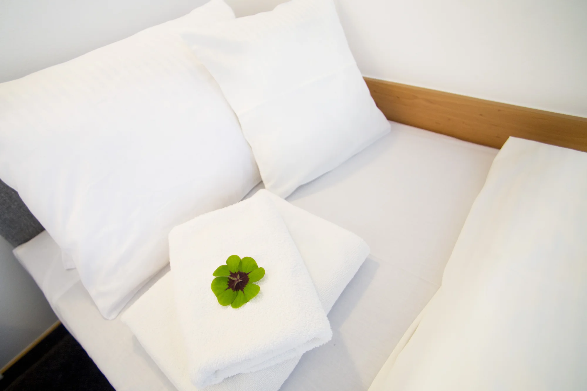 Pobyt na jižní Moravě: snídaně, neomezená konzumace sudového vína i bazén