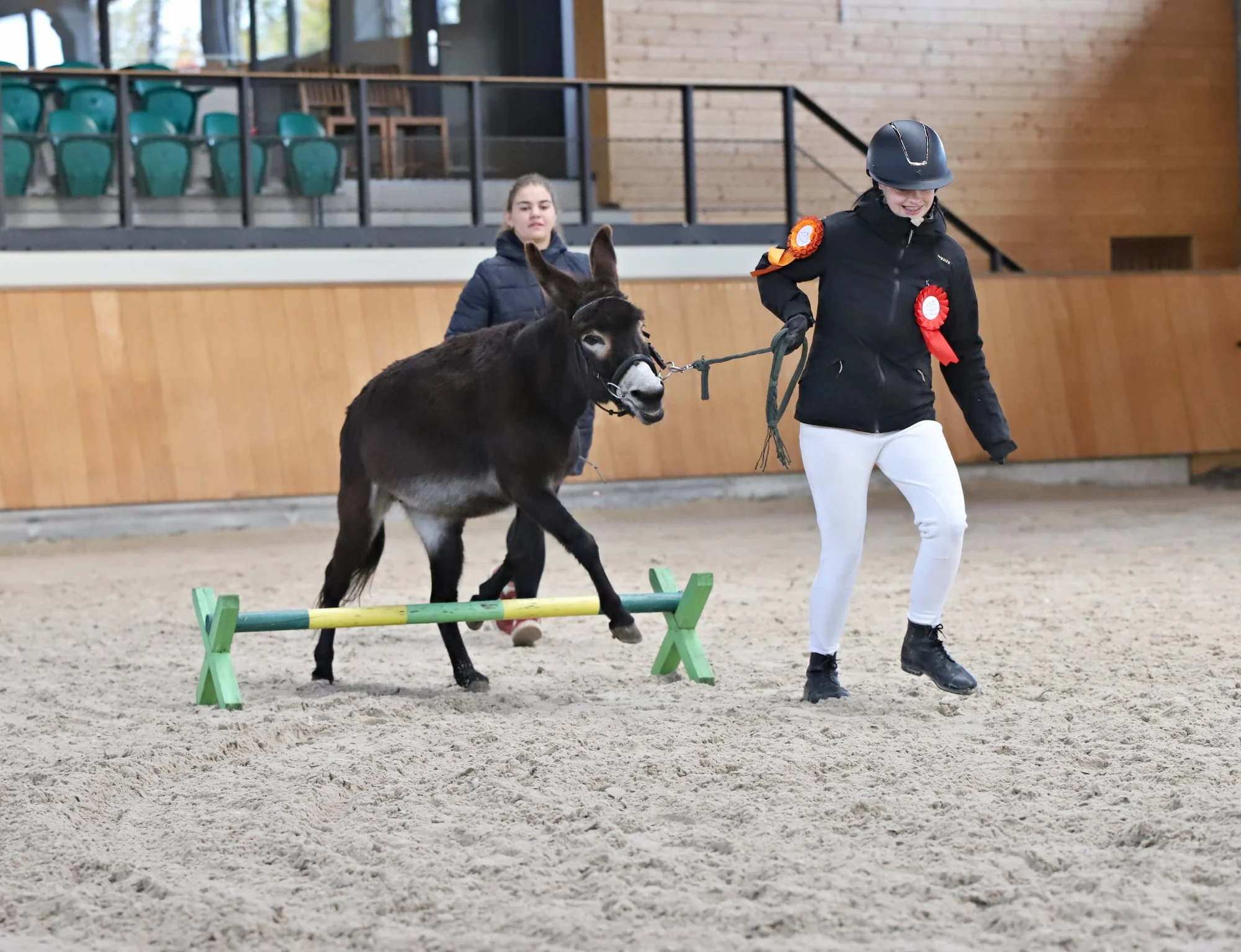 Projížďka na oslíkovi nebo poníkovi pro děti: zážitek v přírodě na 20 či 45 min.